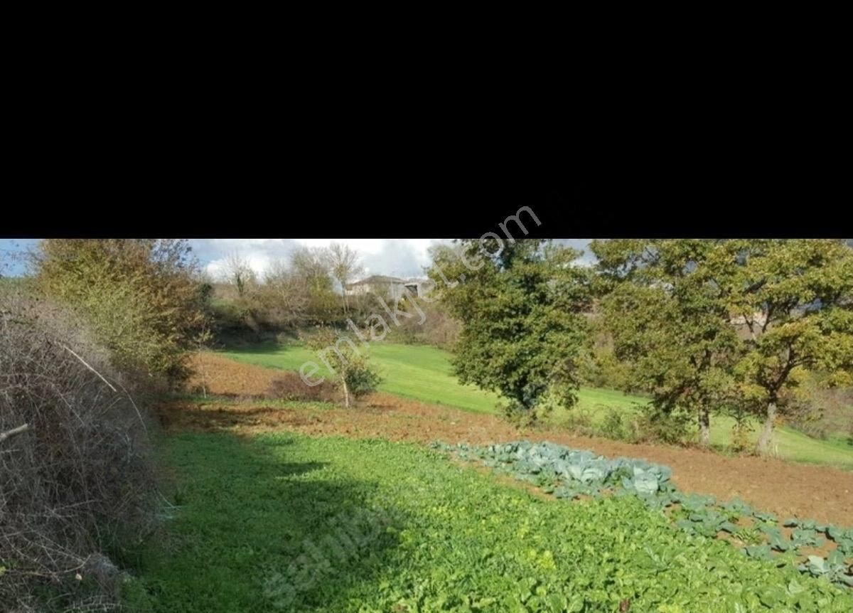 🚀 Kaçırılmaz Yatırım Fırsatı! Satılık Tarla | Sakarya - Kaynarca - Akbaşlı 🚀 - Görsel 13