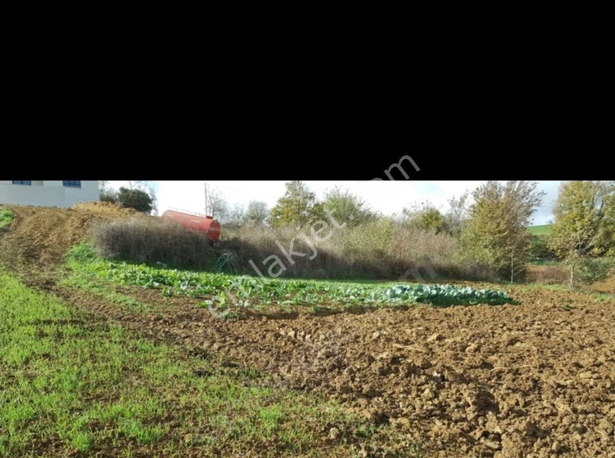 🚀 Kaçırılmaz Yatırım Fırsatı! Satılık Tarla | Sakarya - Kaynarca - Akbaşlı 🚀 - Görsel 2