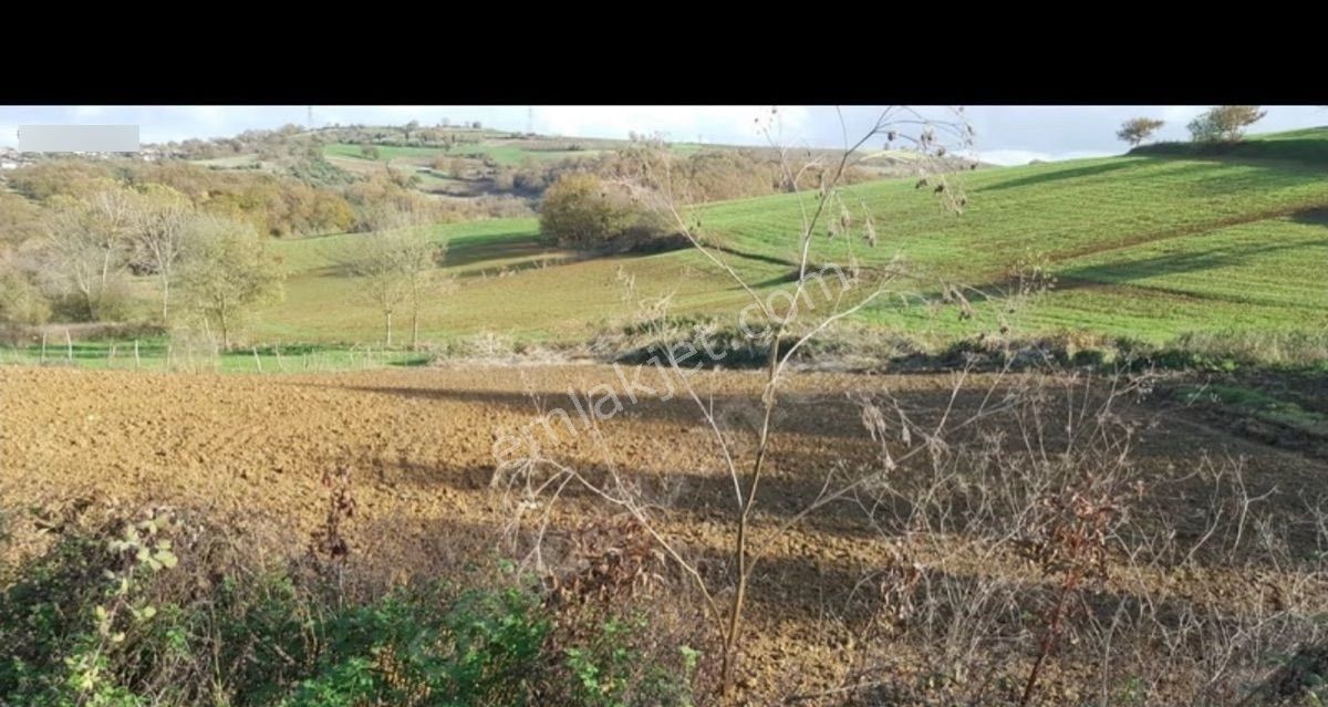 🚀 Kaçırılmaz Yatırım Fırsatı! Satılık Tarla | Sakarya - Kaynarca - Akbaşlı 🚀 - Görsel 12