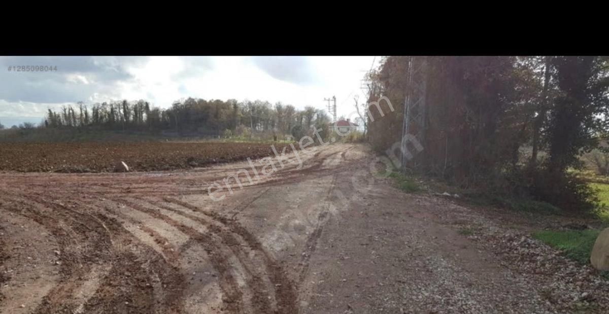 🚀 Kaçırılmaz Yatırım Fırsatı! Satılık Tarla | Sakarya - Kaynarca - Akbaşlı 🚀 - Görsel 9
