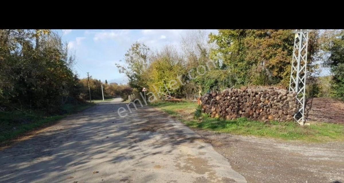 🚀 Kaçırılmaz Yatırım Fırsatı! Satılık Tarla | Sakarya - Kaynarca - Akbaşlı 🚀 - Görsel 5