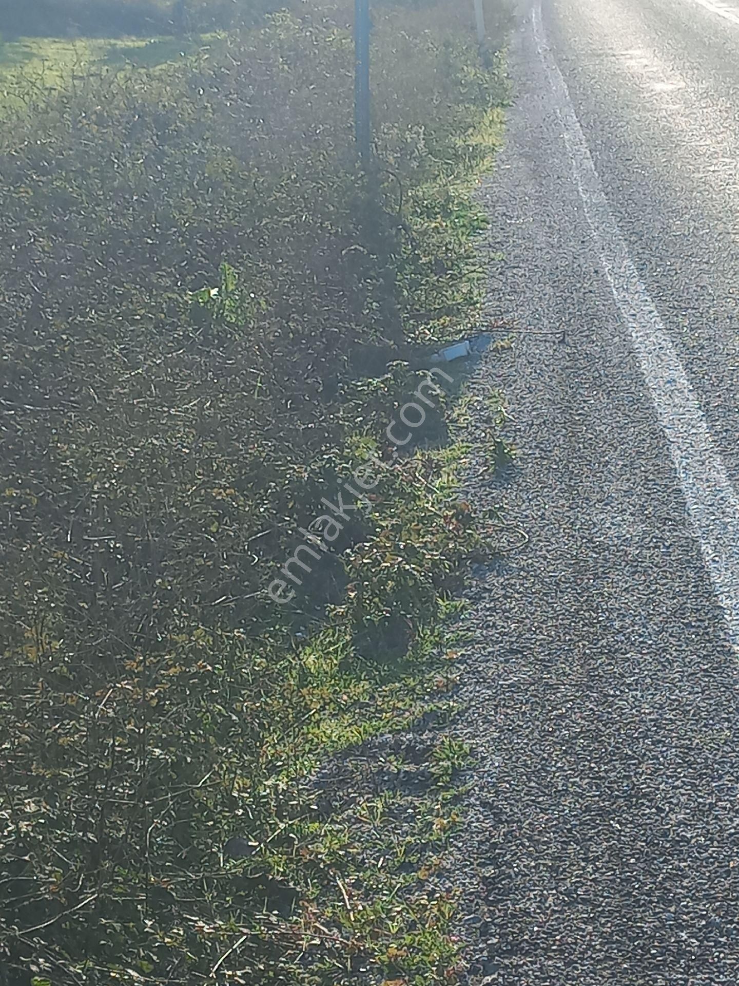 Satılık Müstakiltapu Tarla - Görsel 9