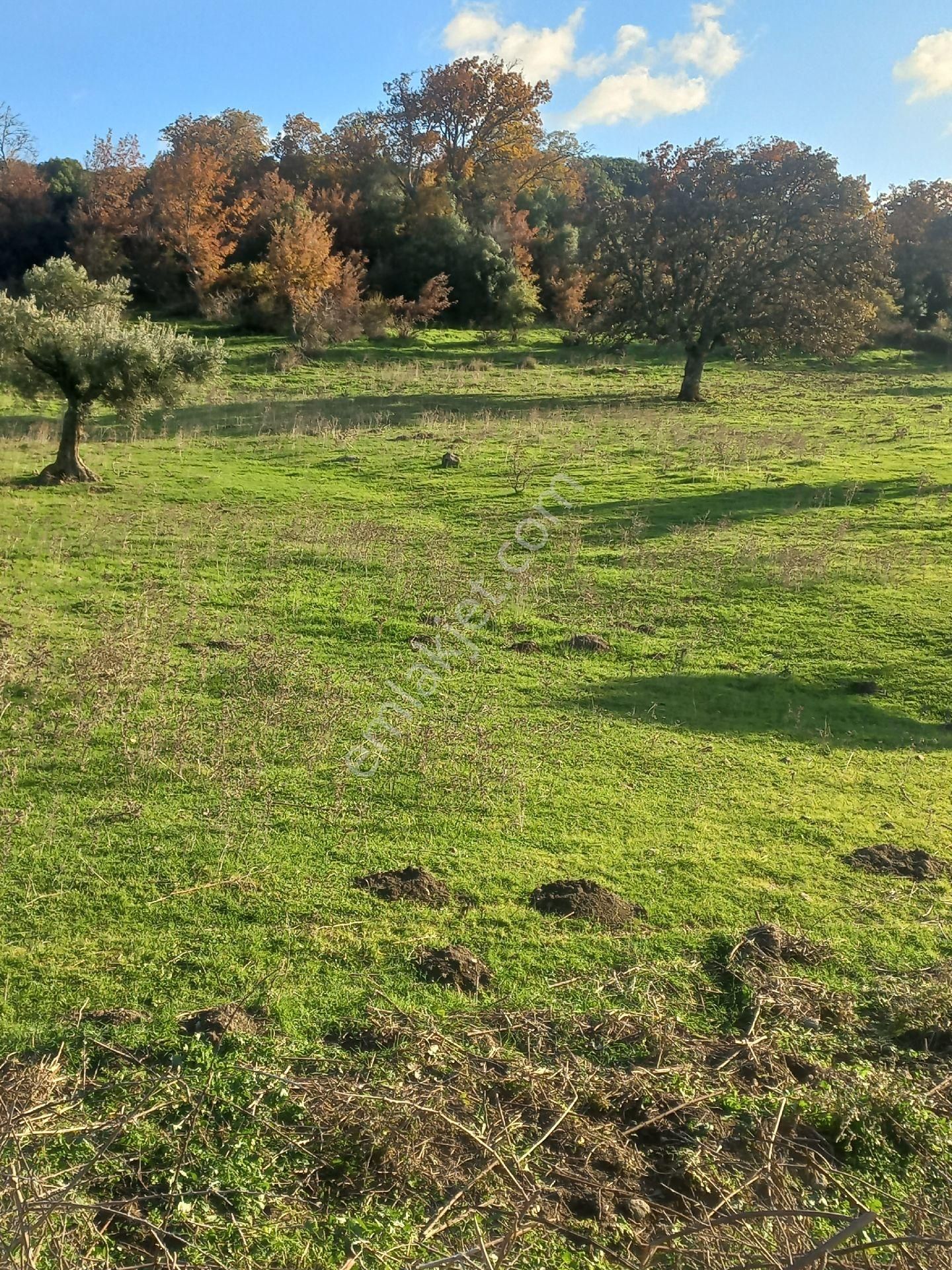 Satılık Müstakiltapu Tarla - Görsel 31