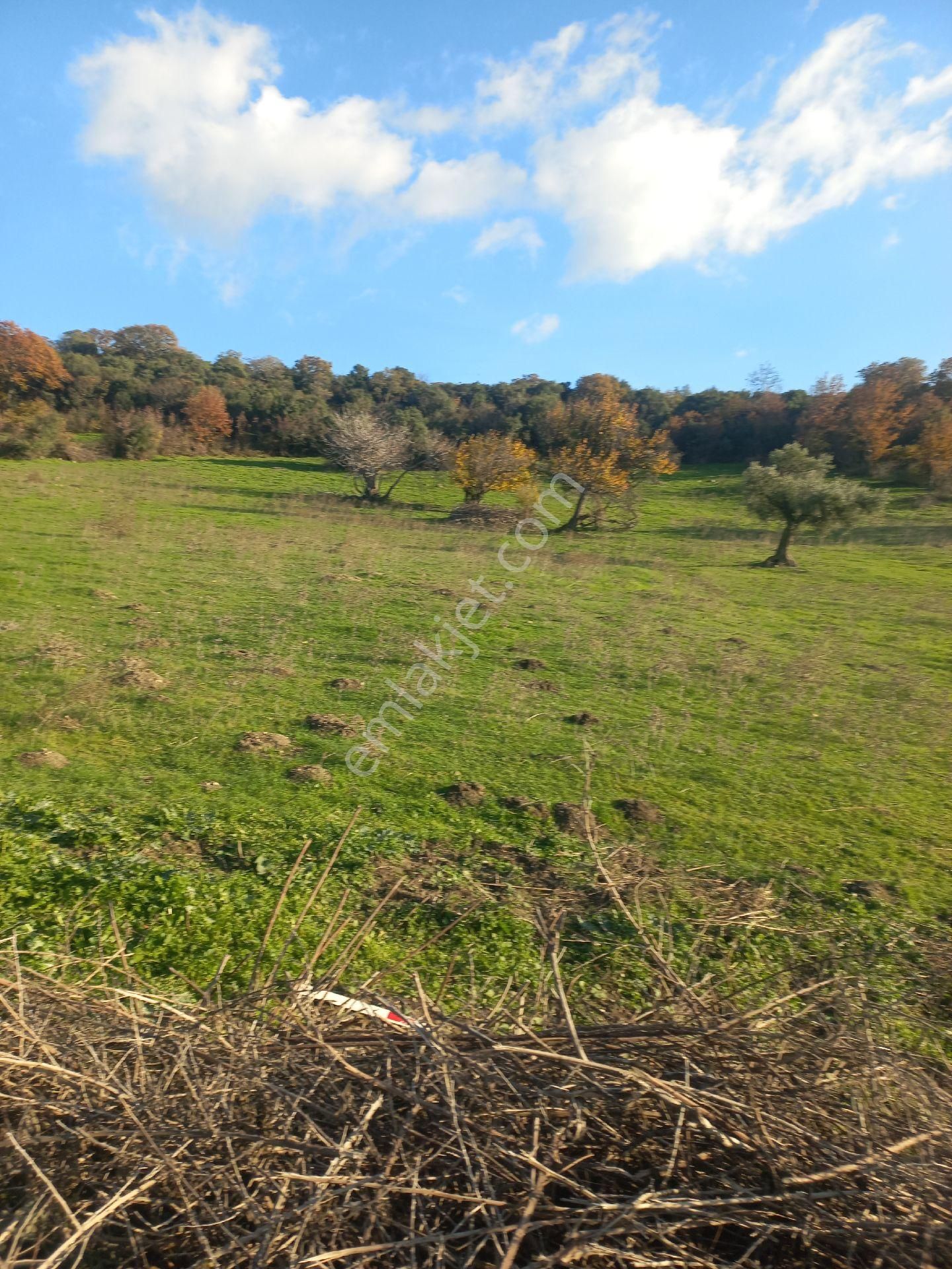 Satılık Müstakiltapu Tarla - Görsel 24