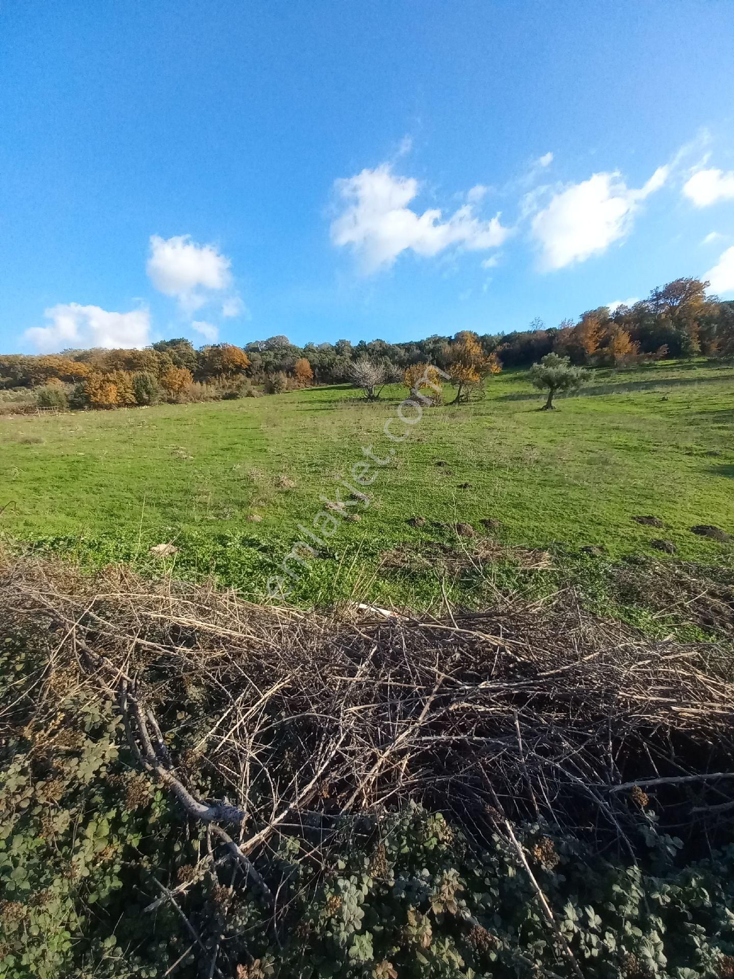 Satılık Müstakiltapu Tarla - Görsel 6