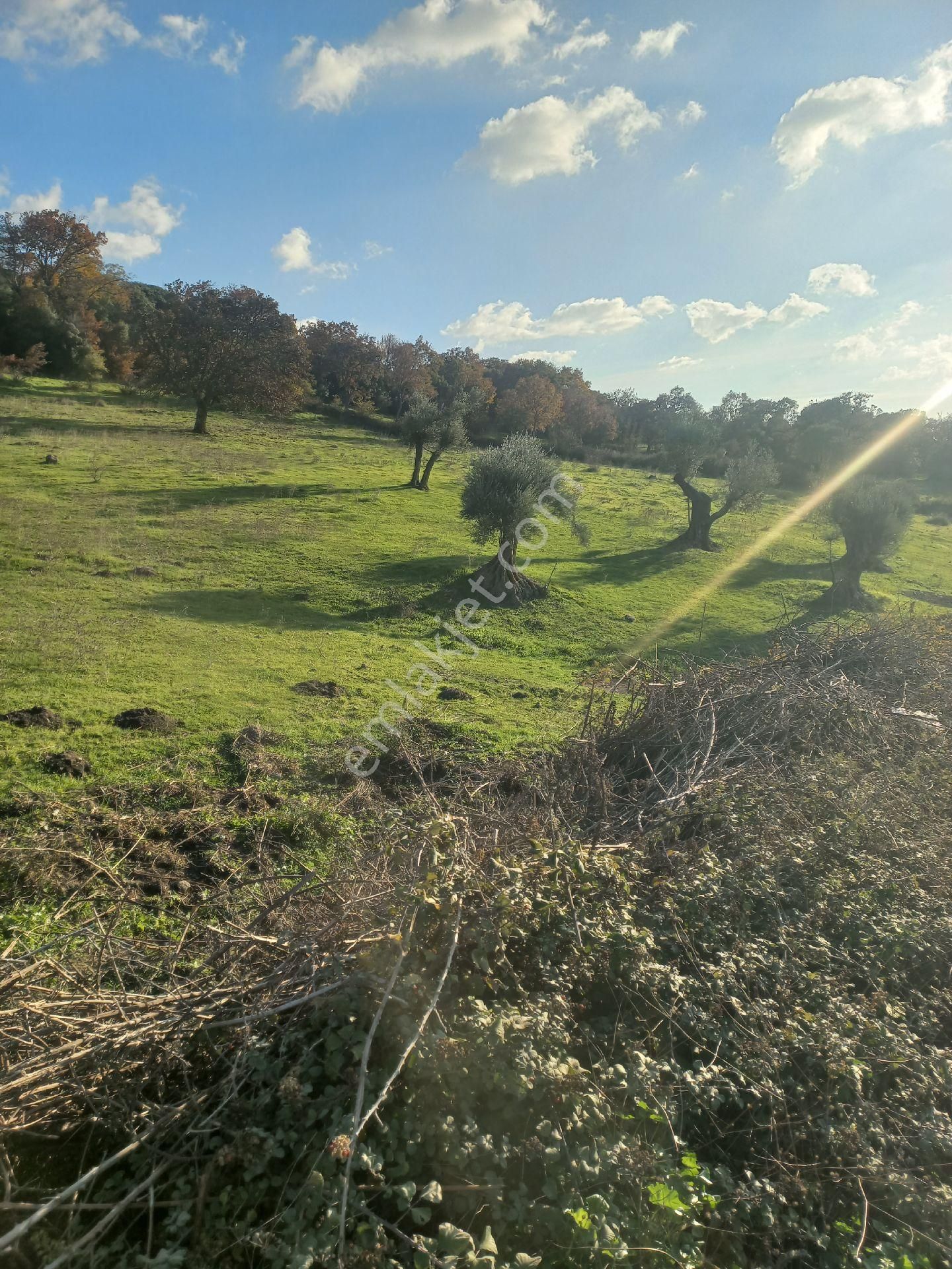 Satılık Müstakiltapu Tarla - Görsel 35