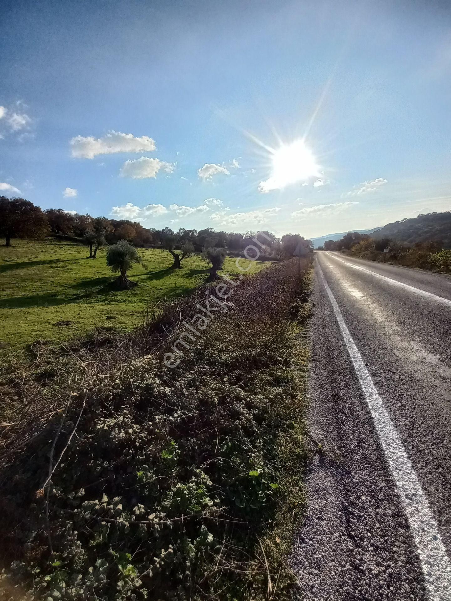 Satılık Müstakiltapu Tarla - Görsel 4