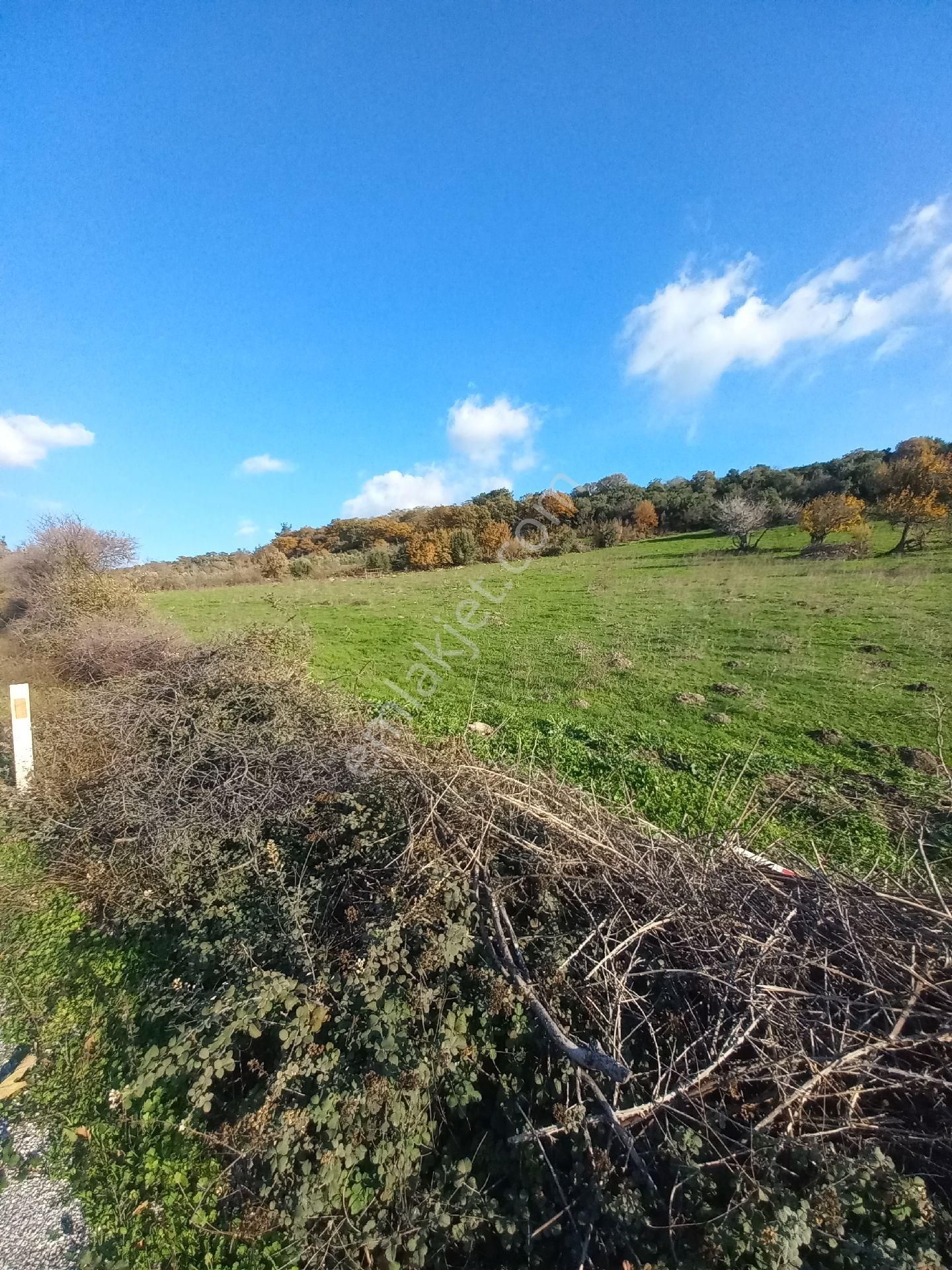 Satılık Müstakiltapu Tarla - Görsel 32