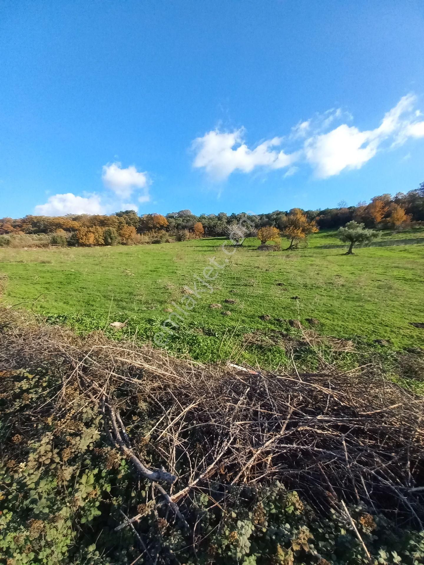 Satılık Müstakiltapu Tarla - Görsel 20