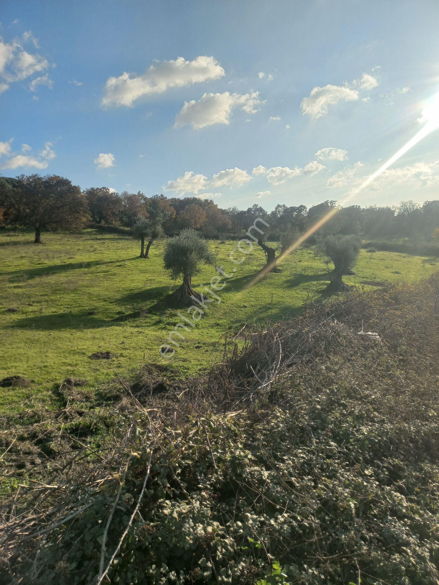 Satılık Müstakiltapu Tarla - Görsel 12