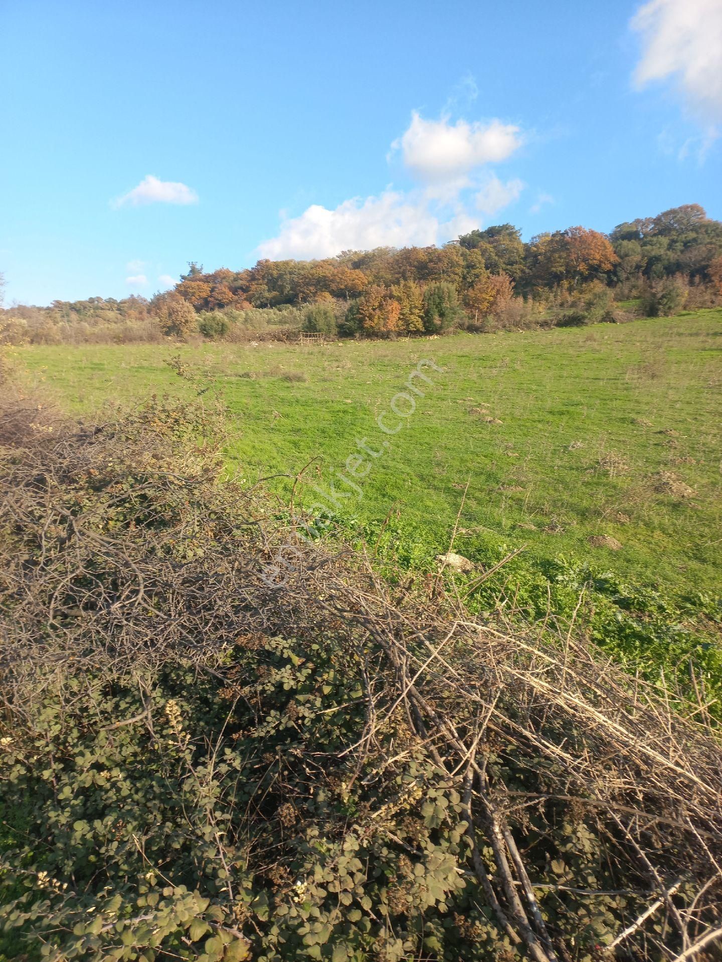 Satılık Müstakiltapu Tarla - Görsel 25