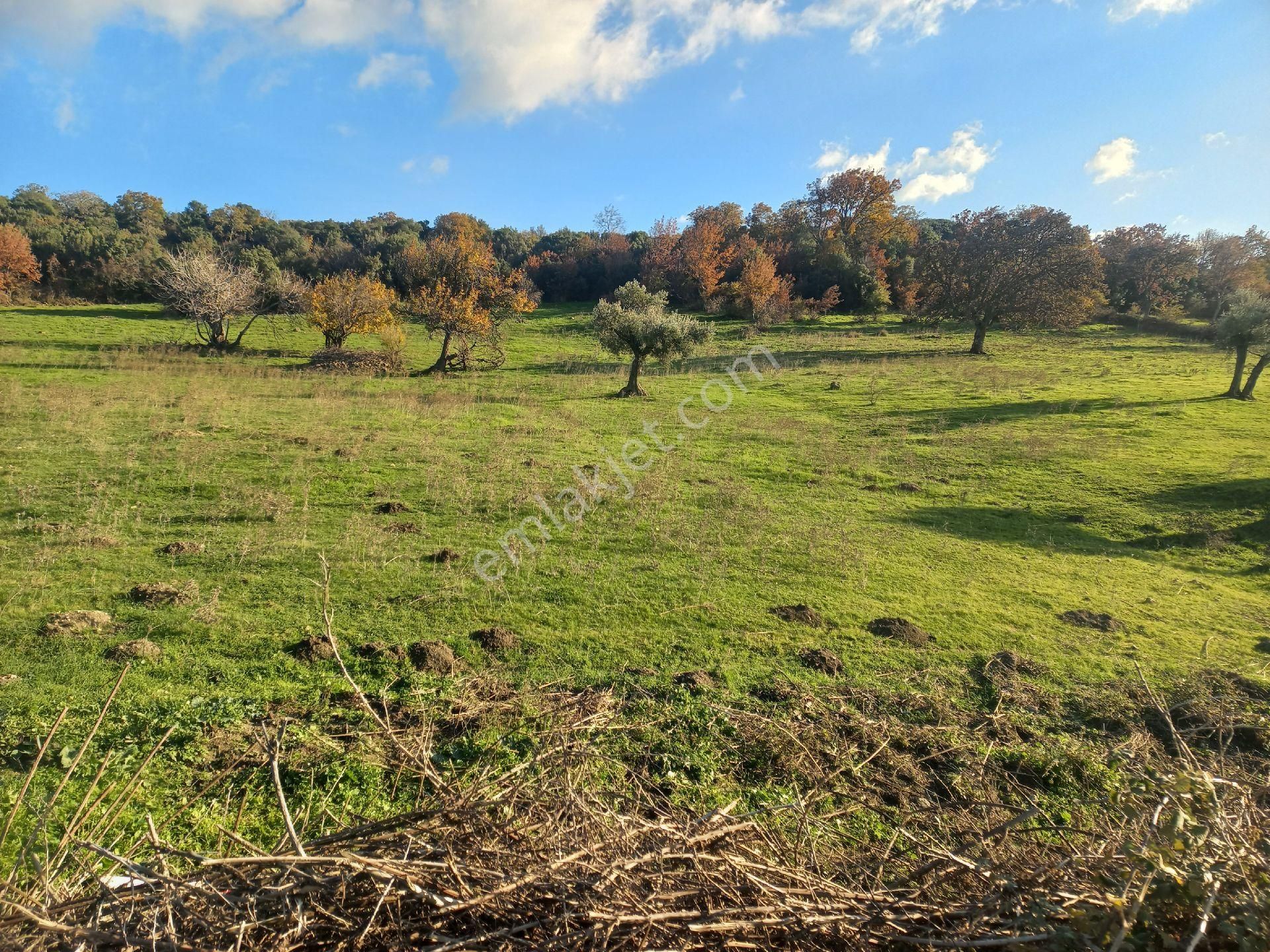 Satılık Müstakiltapu Tarla - Görsel 33