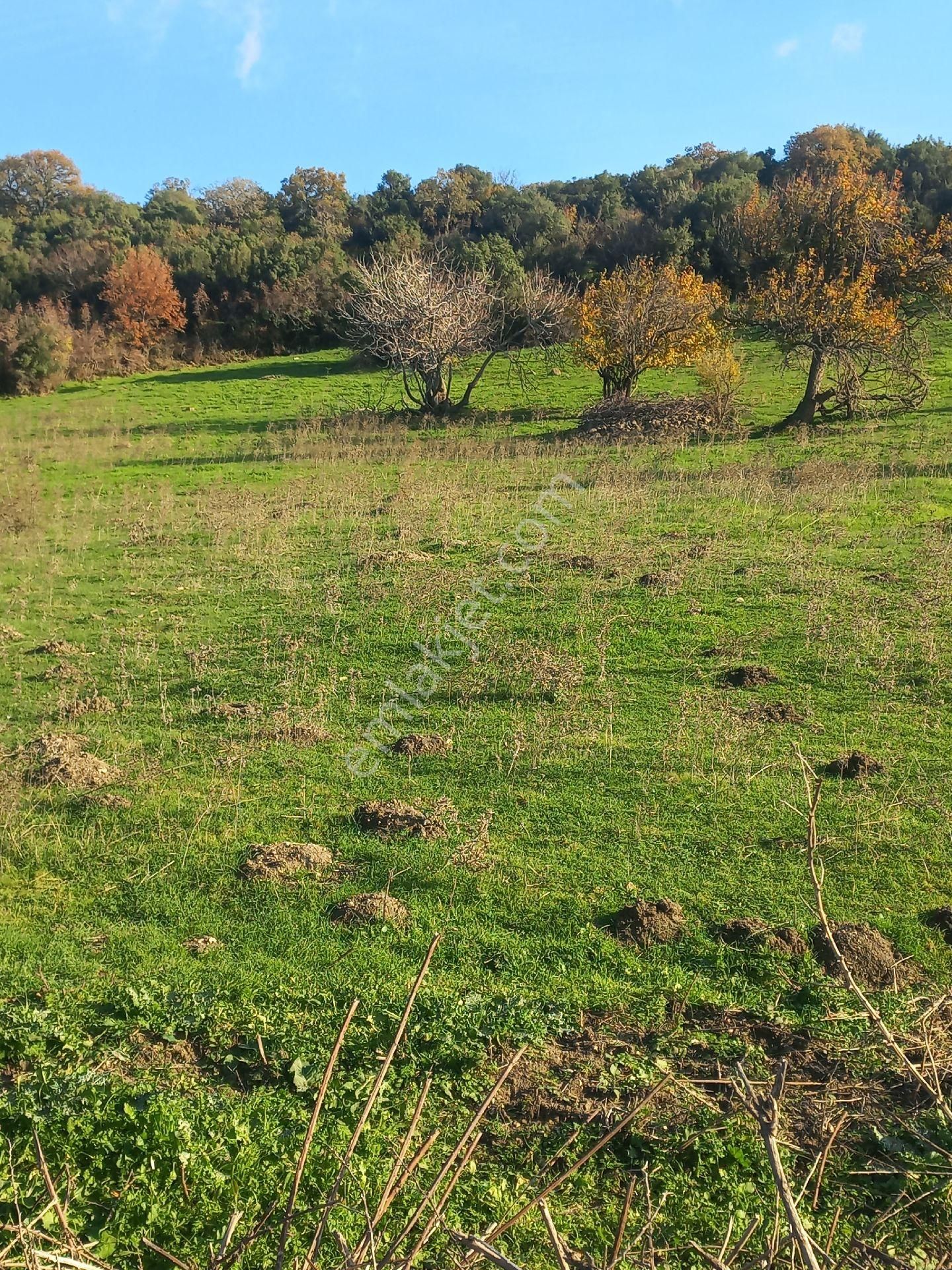 Satılık Müstakiltapu Tarla - Görsel 30