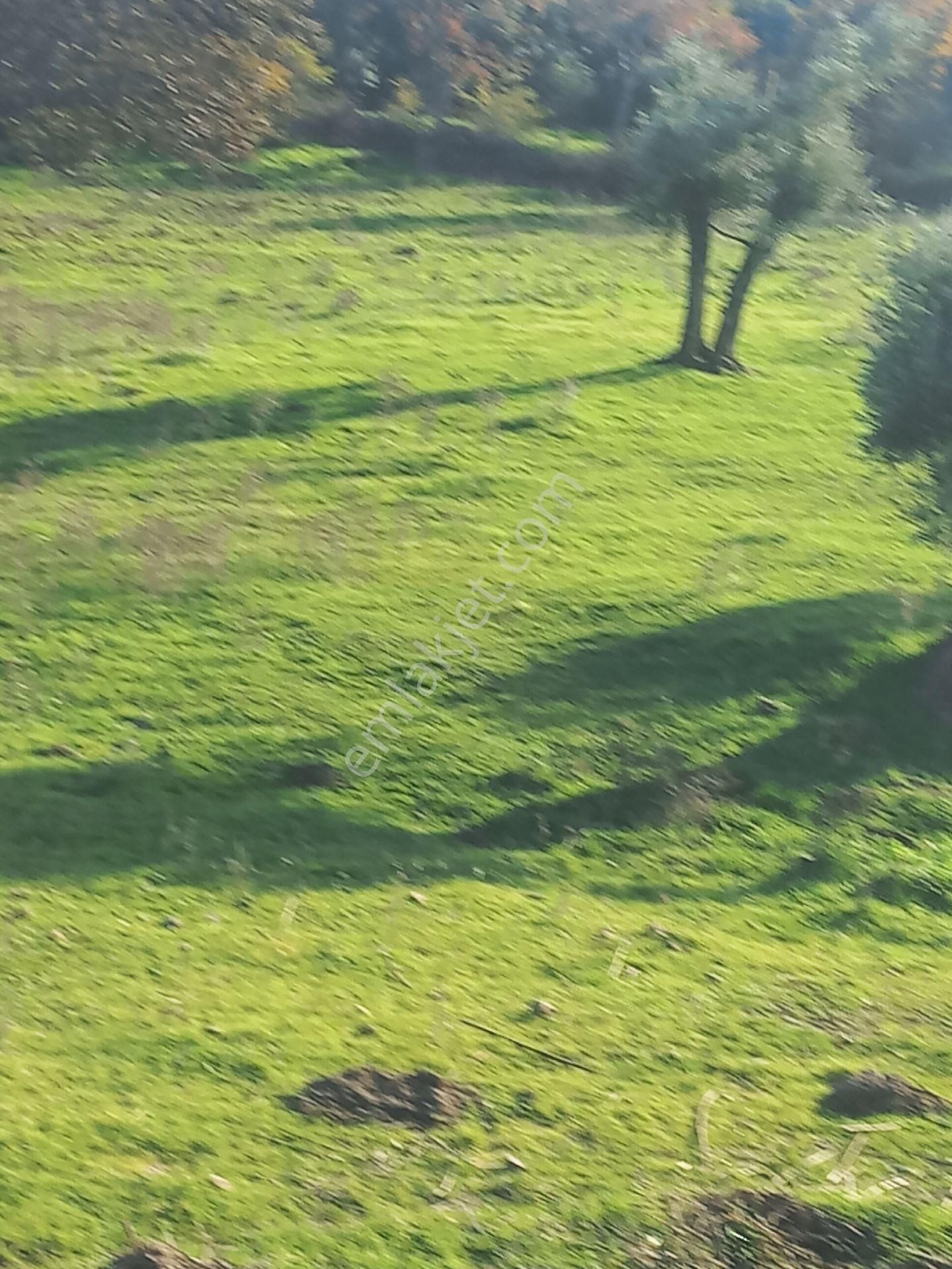 Satılık Müstakiltapu Tarla - Görsel 7