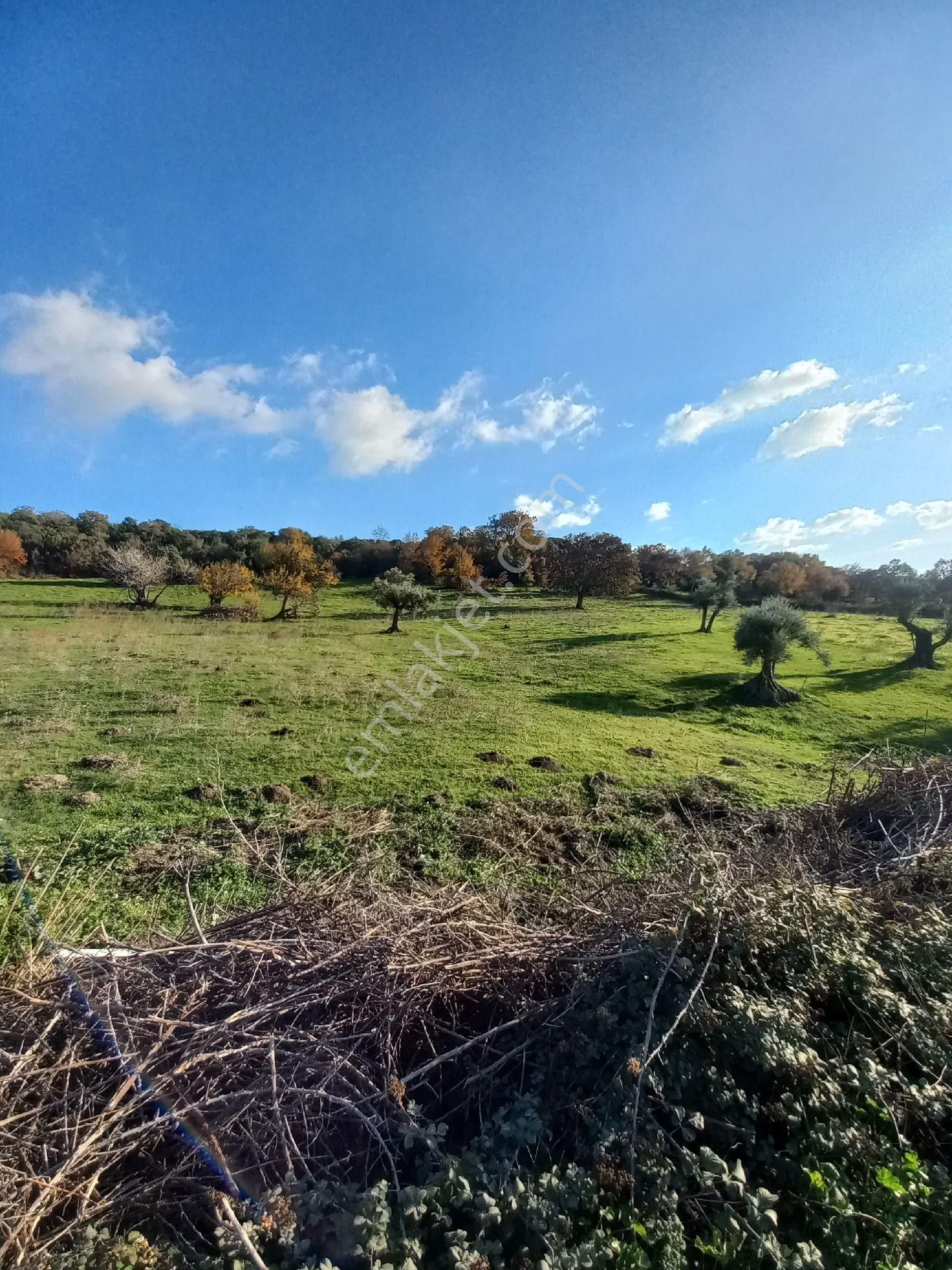 Satılık Müstakiltapu Tarla - Görsel 19