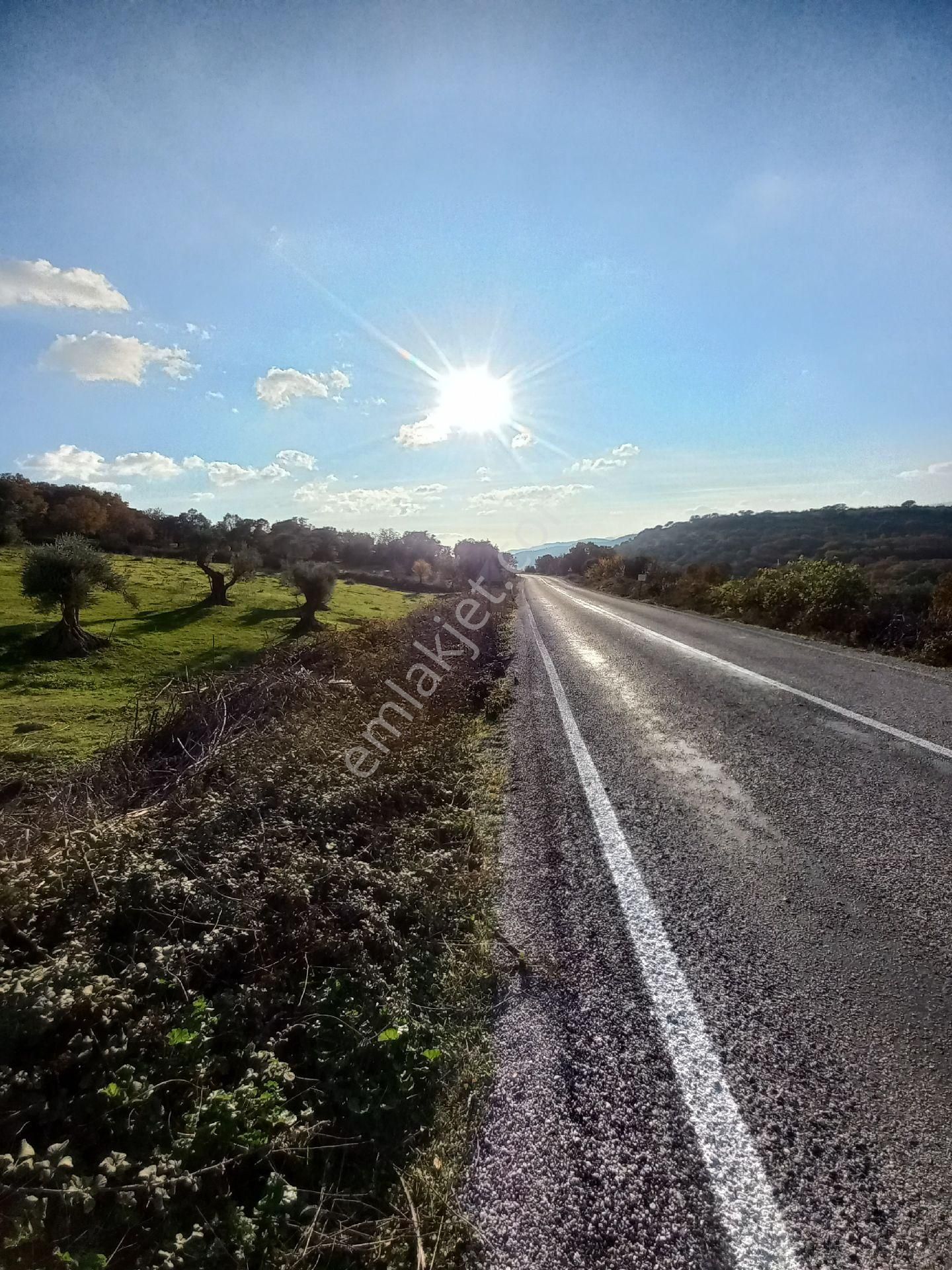 Satılık Müstakiltapu Tarla - Görsel 16