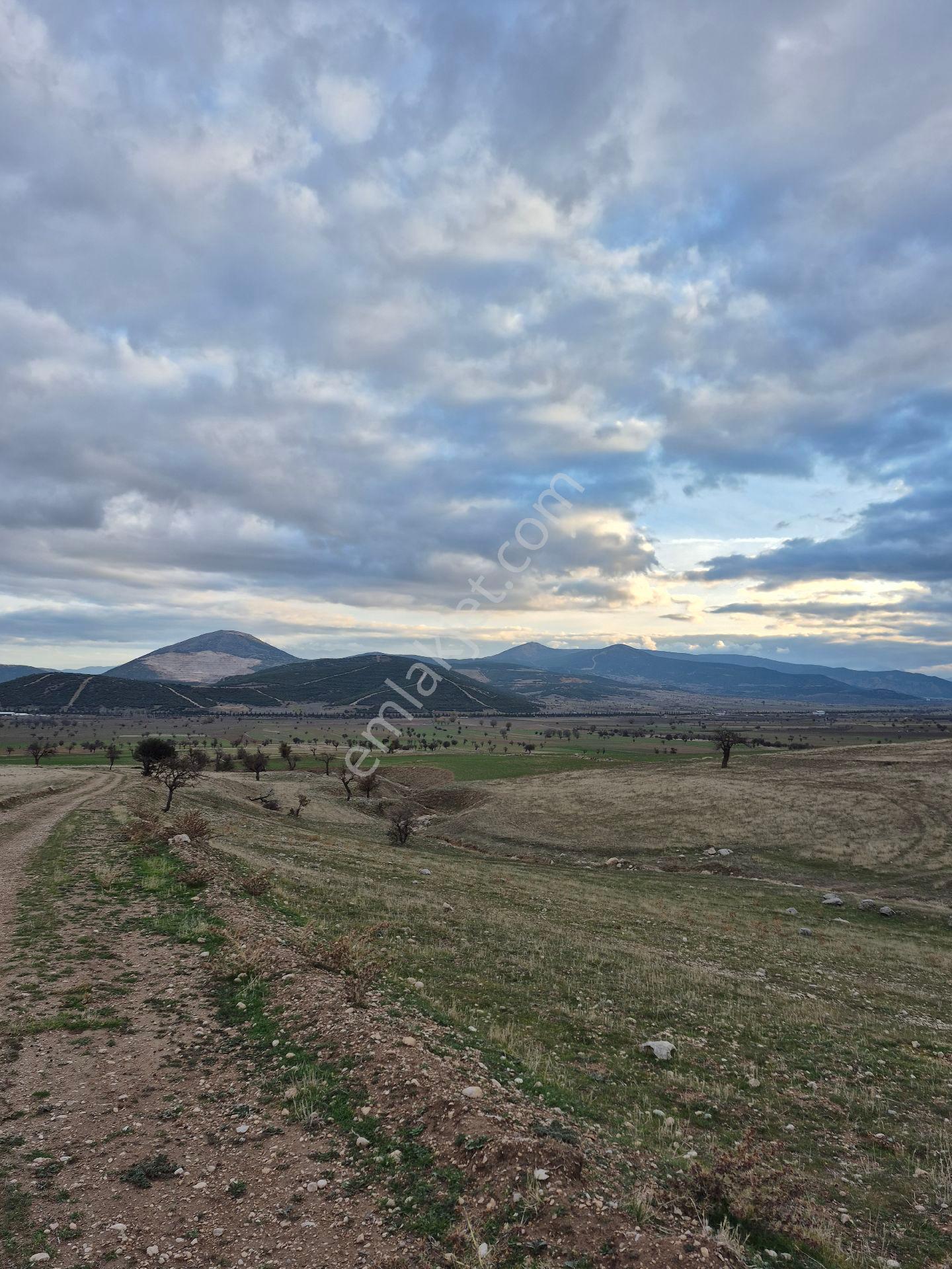 11660 M2 3tapu Isparta Gönen De - Görsel 8