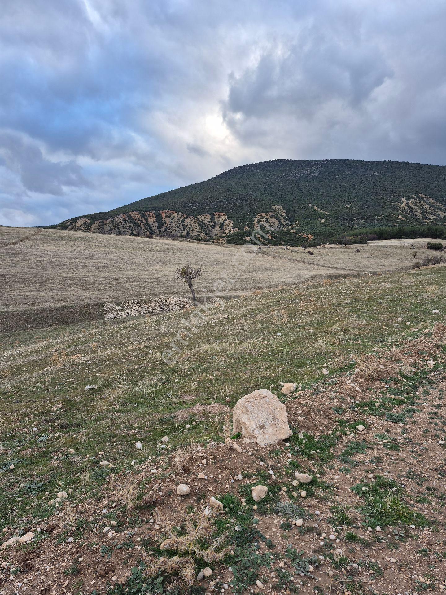 11660 M2 3tapu Isparta Gönen De - Görsel 11