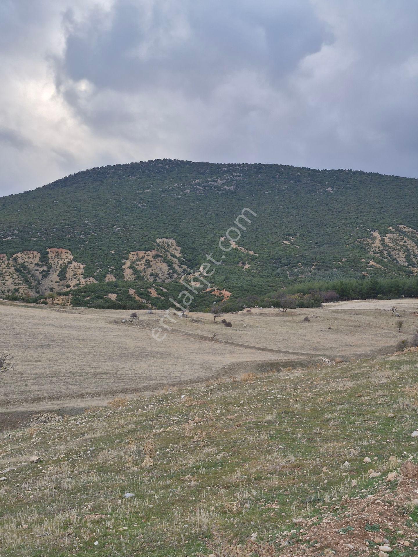 11660 M2 3tapu Isparta Gönen De - Görsel 3