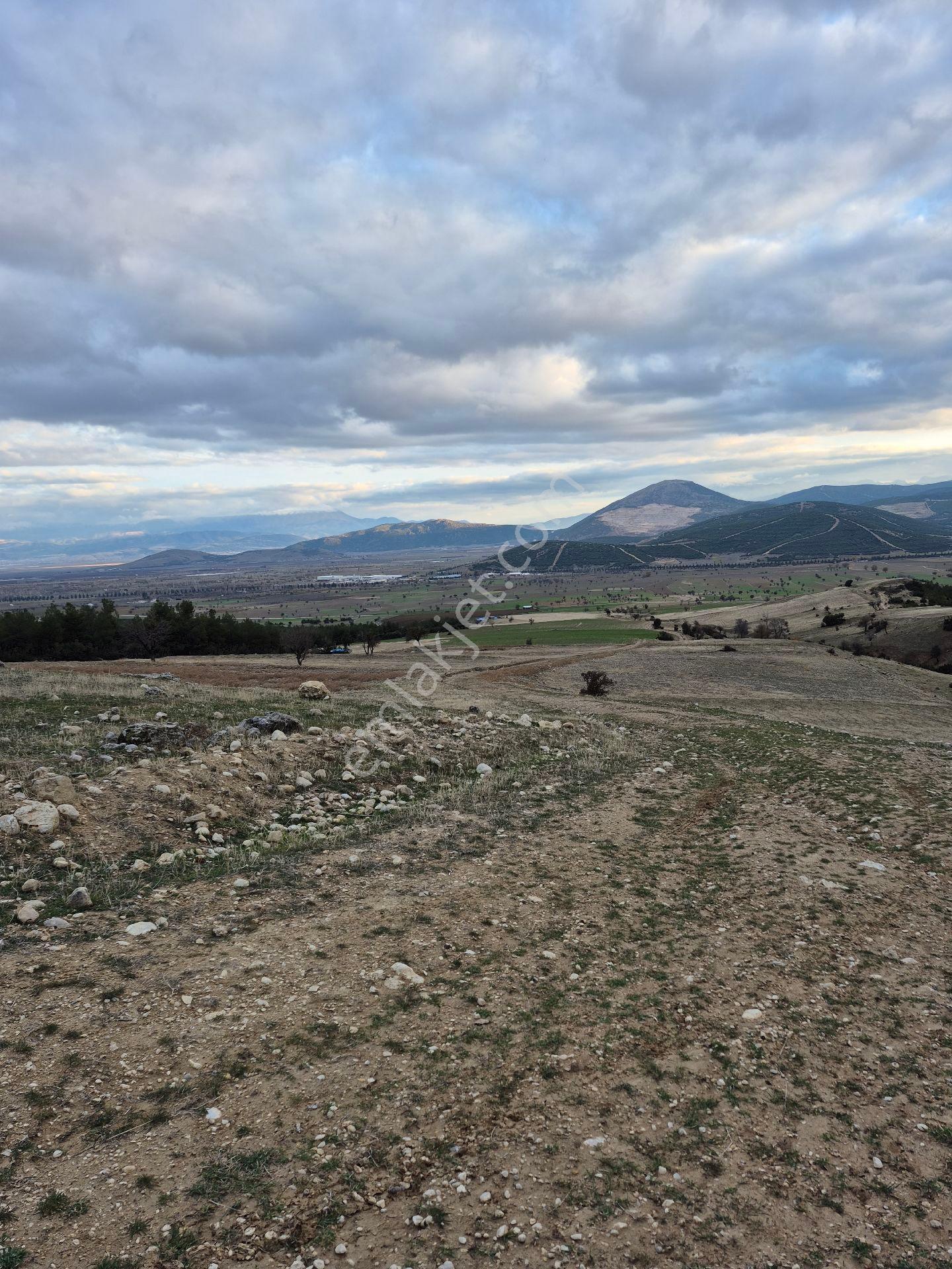11660 M2 3tapu Isparta Gönen De - Görsel 2