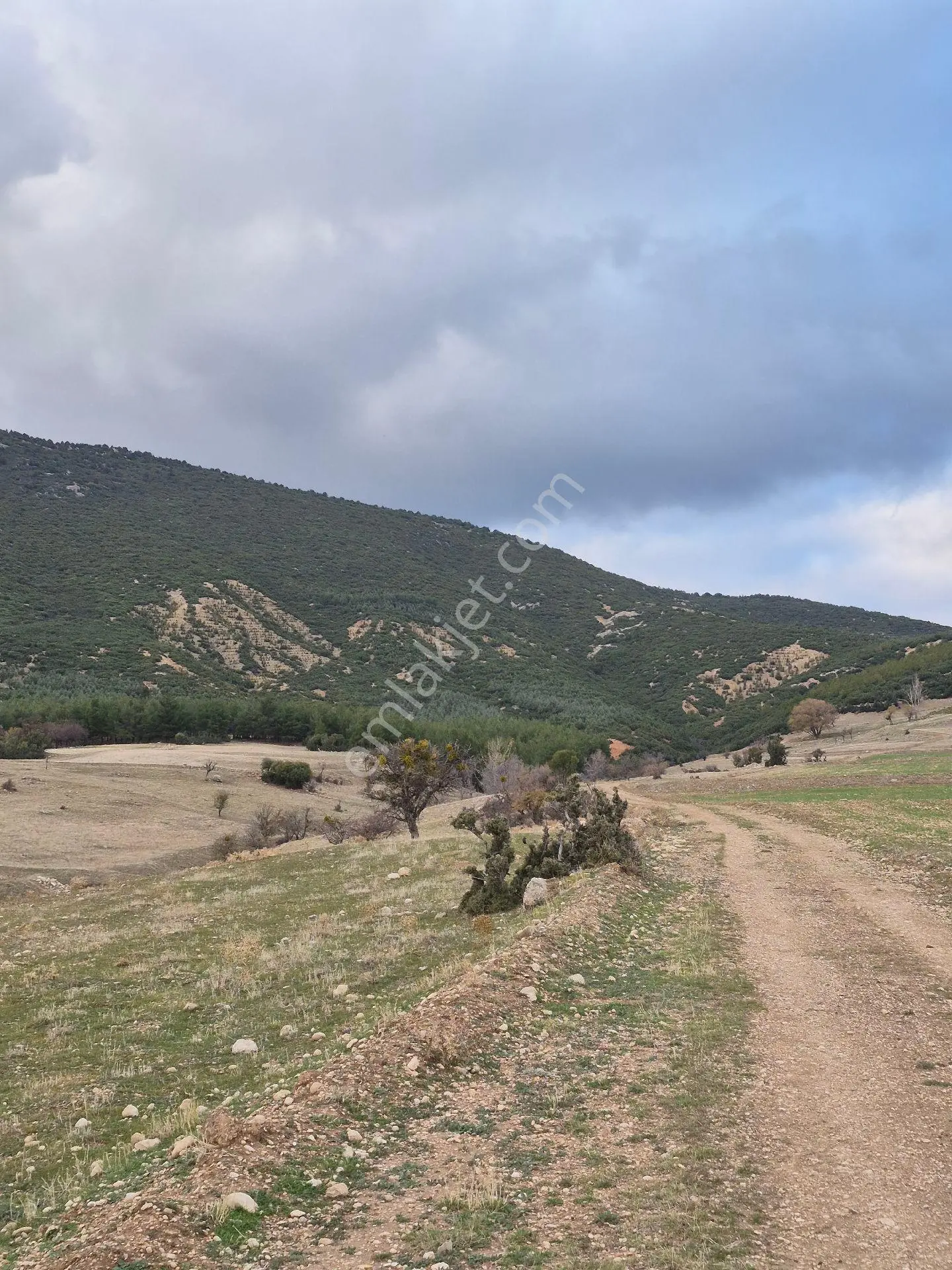 11660 M2 3tapu Isparta Gönen De