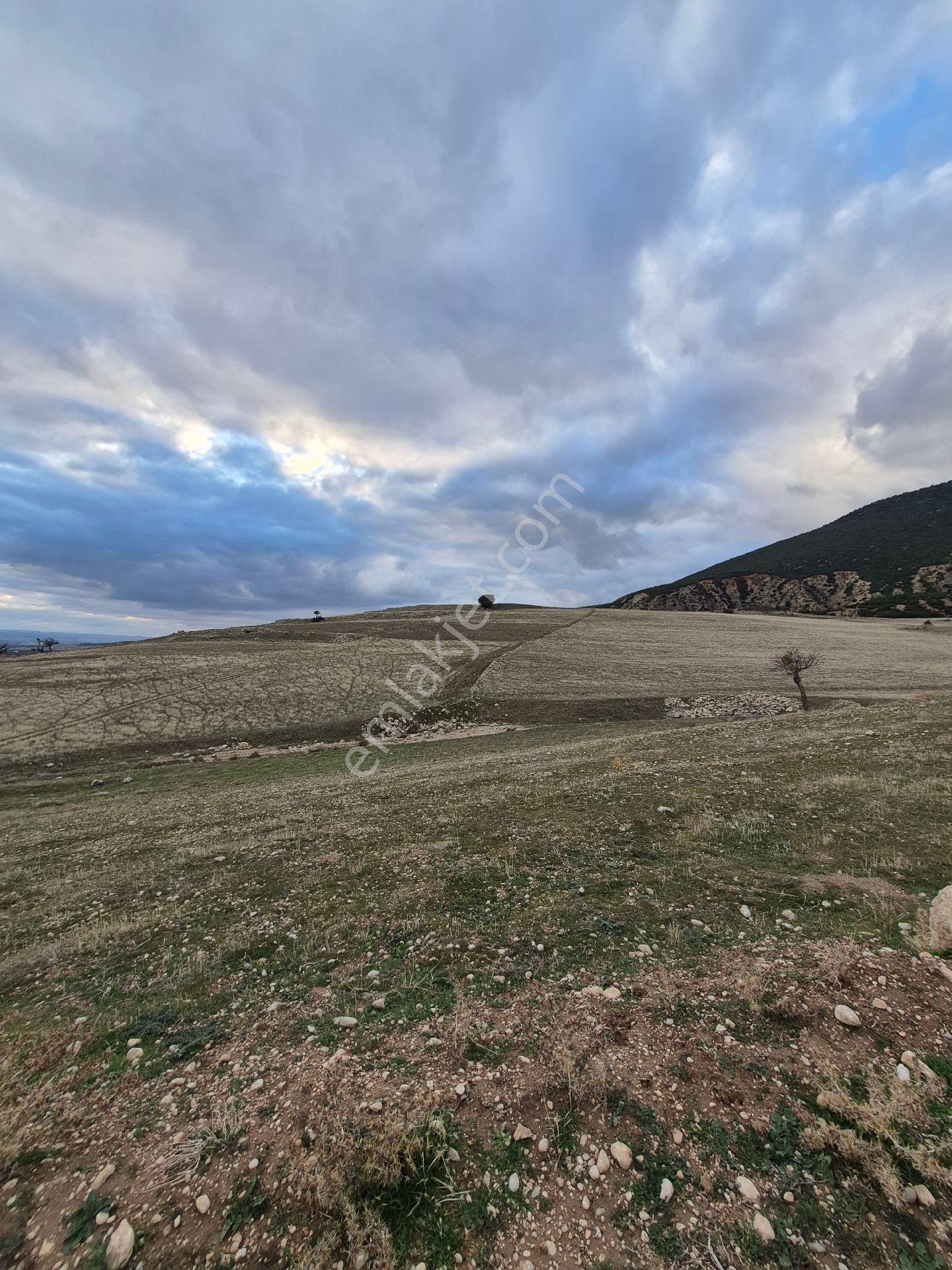 11660 M2 3tapu Isparta Gönen De - Görsel 9