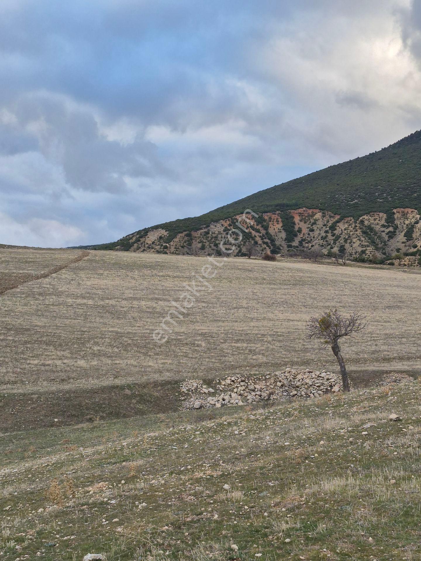 11660 M2 3tapu Isparta Gönen De - Görsel 6