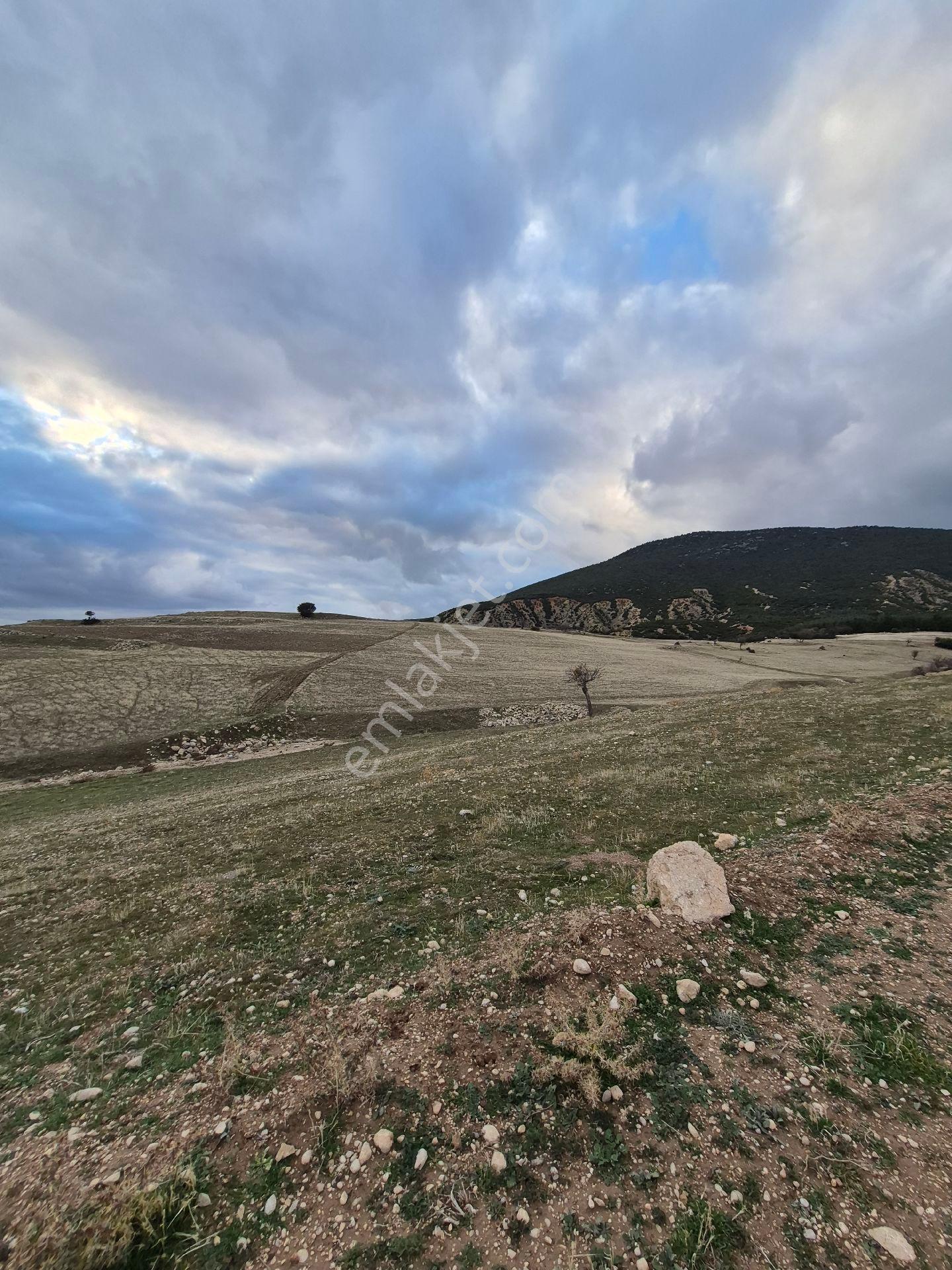 11660 M2 3tapu Isparta Gönen De - Görsel 12