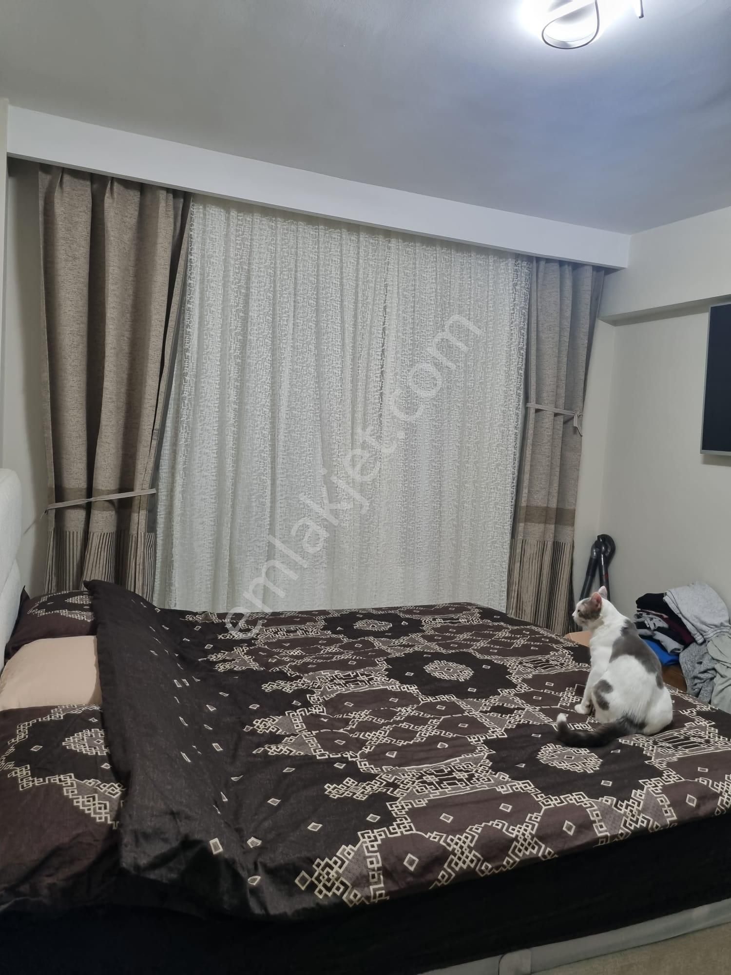 Yenikent Mustafa Kemal Mh 3+1 Lux Yapılı 2 Yıllık Daire - Görsel 5