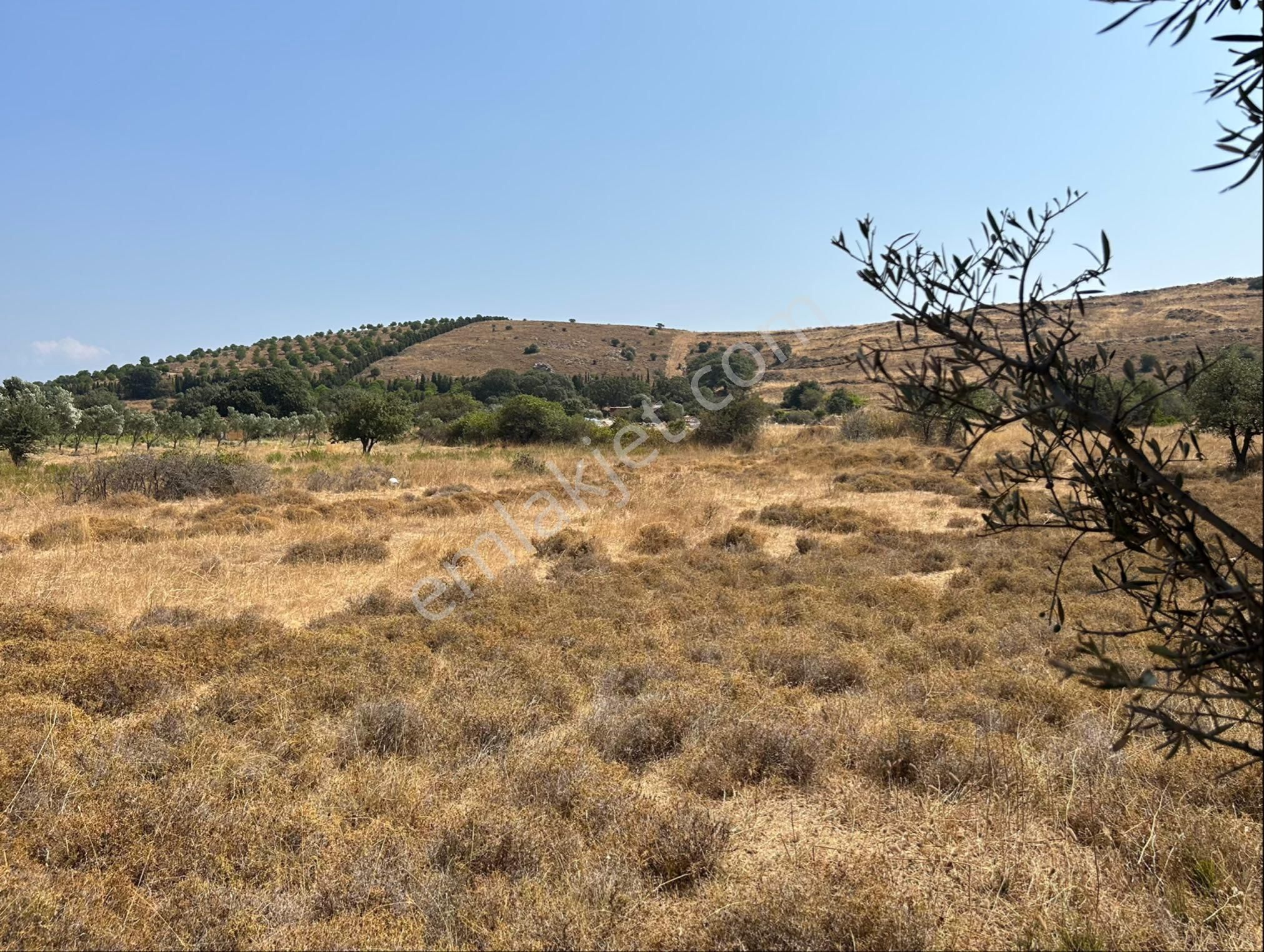 Bozcada’da Sahibinden Satılık Tarla
