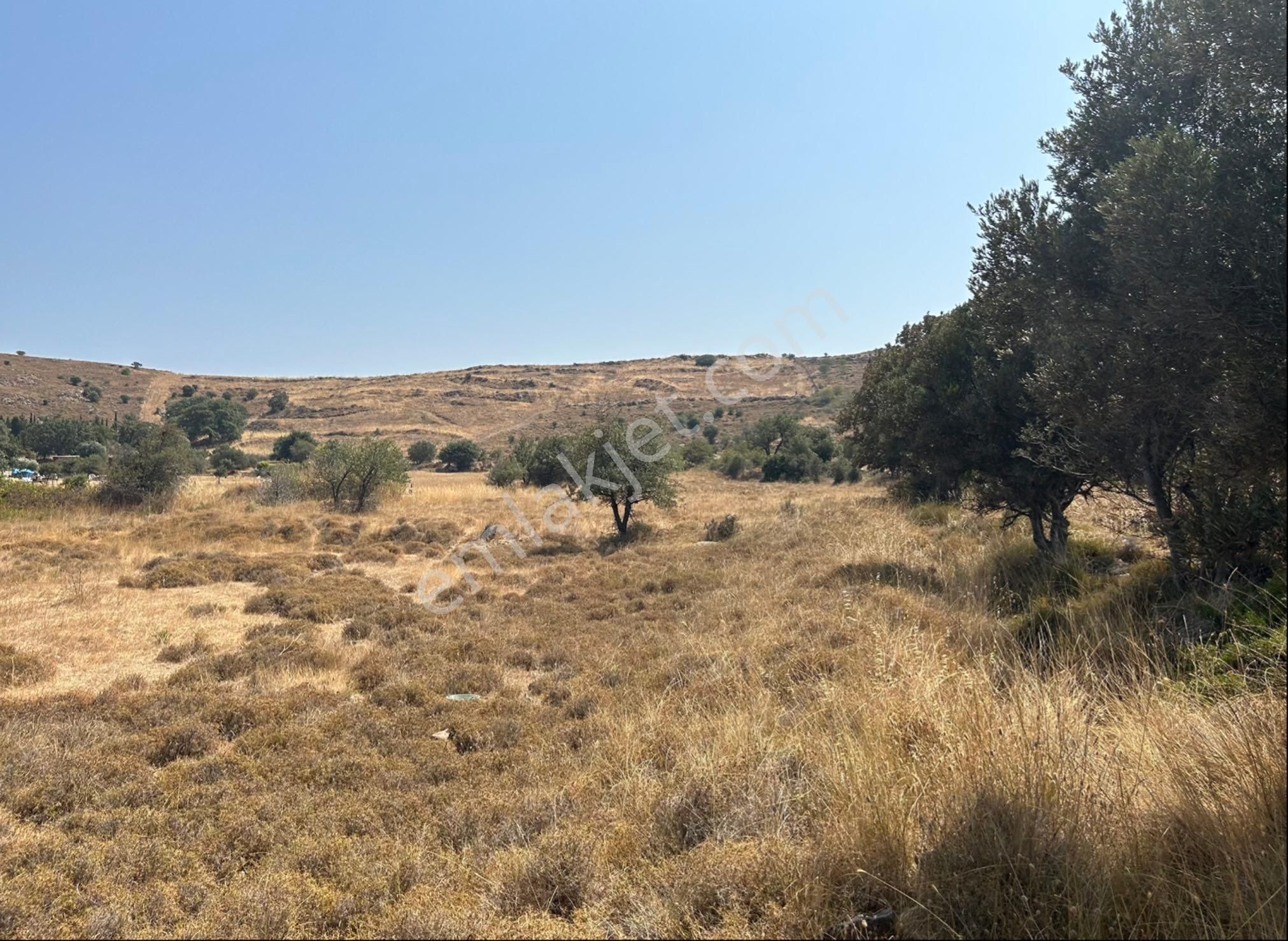 Bozcada’da Sahibinden Satılık Tarla - Görsel 3