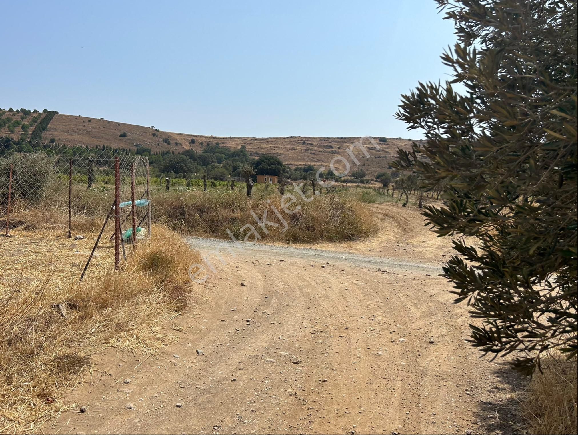 Bozcada’da Sahibinden Satılık Tarla - Görsel 8