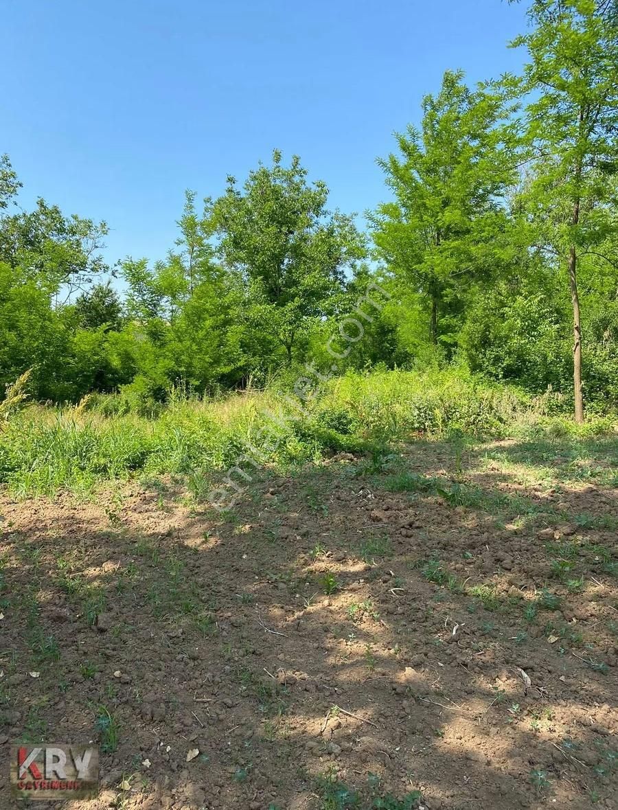 Ebeköy De 678 M2 Hobi Bahçesi - Görsel 5