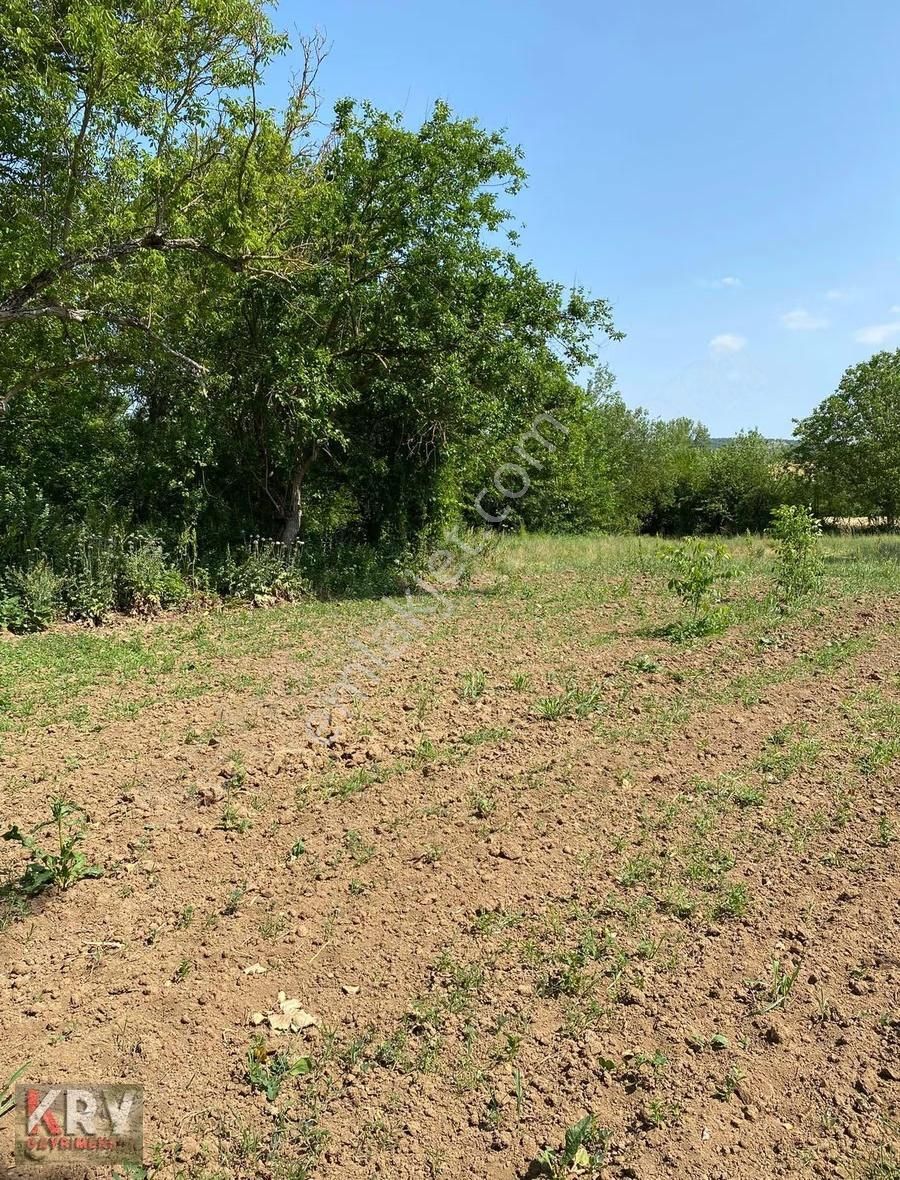 Ebeköy De 678 M2 Hobi Bahçesi - Görsel 3