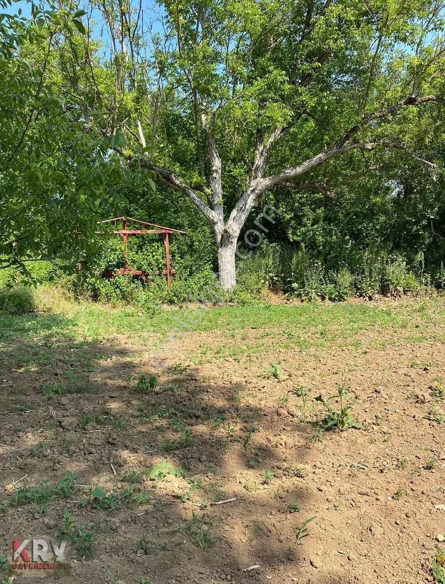 Ebeköy De 678 M2 Hobi Bahçesi