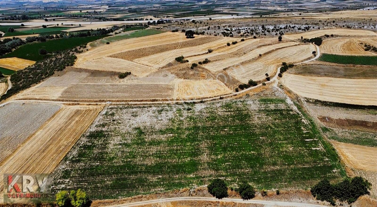 Ebeköy De Çift Yola Cephe Tarla - Görsel 14