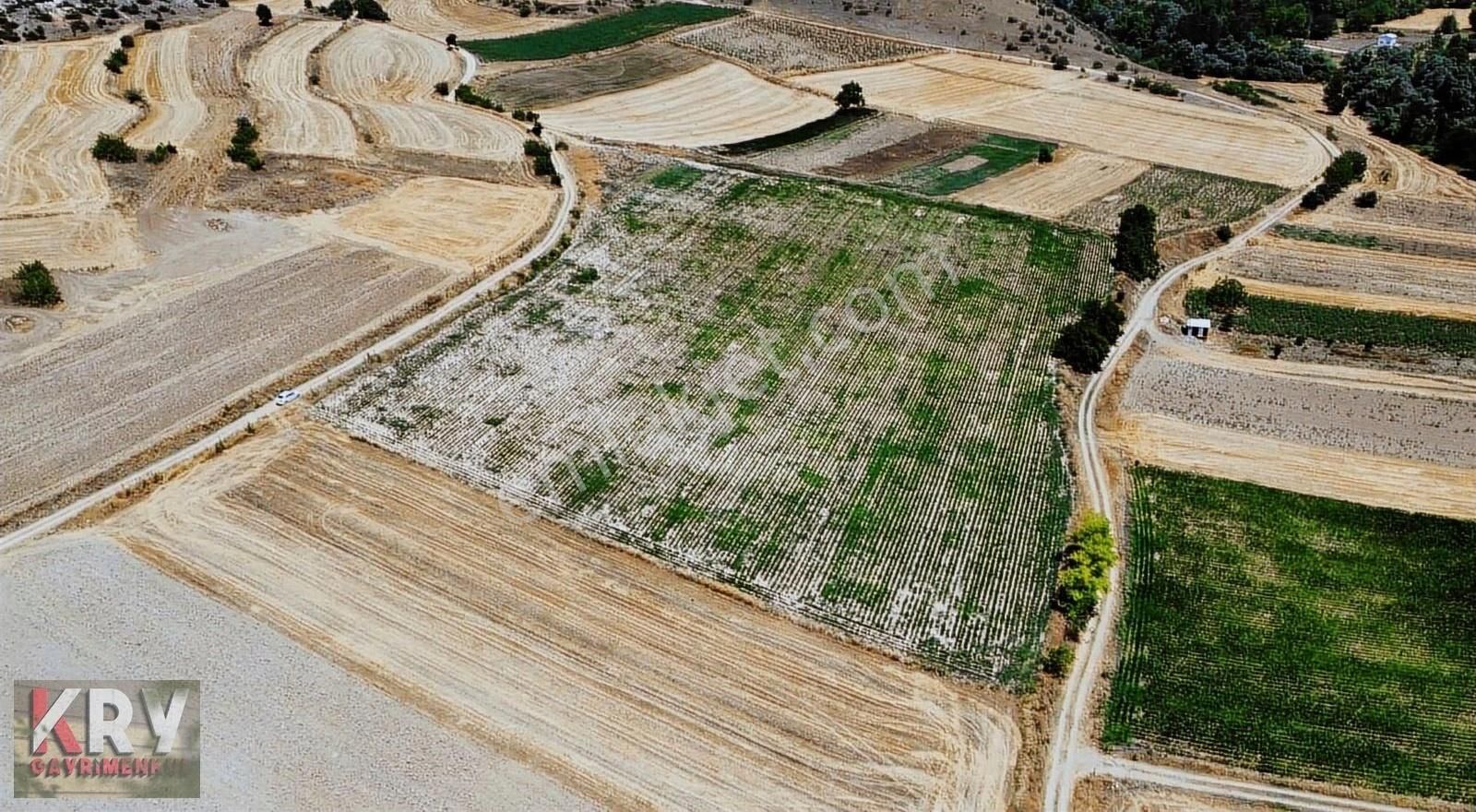 Ebeköy De Çift Yola Cephe Tarla - Görsel 13