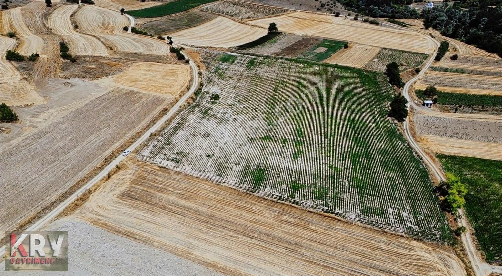 Ebeköy De Çift Yola Cephe Tarla - Görsel 7