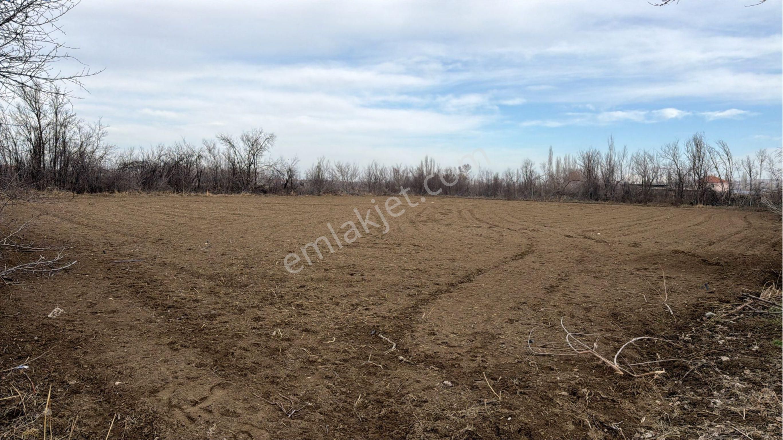 Sahibinden Çömlekçi Mahallesi Acil Satılık - Görsel 2