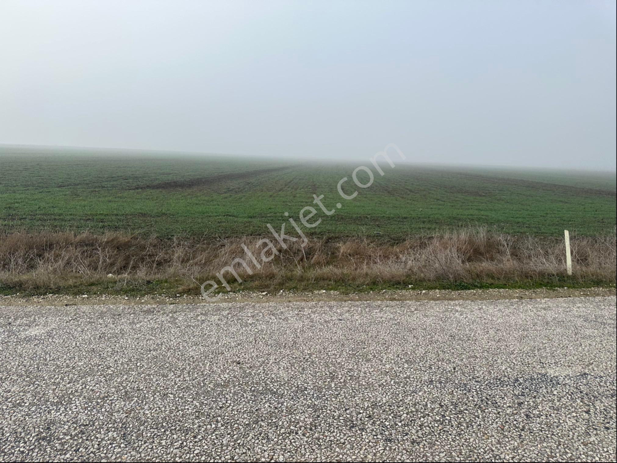 ✅ 🔹 Lüleburgaz Alacaoğlu – Asfalt Cephe 819 M² Tarla (acil Satılık) 🔹 - Görsel 7