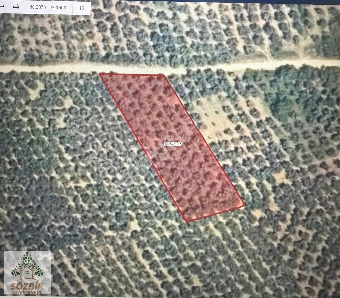 Sözbir'den Bursa Gemlik De Tarla-zeytinlik 2.300m2 Satılık Zeyt. - Görsel 3