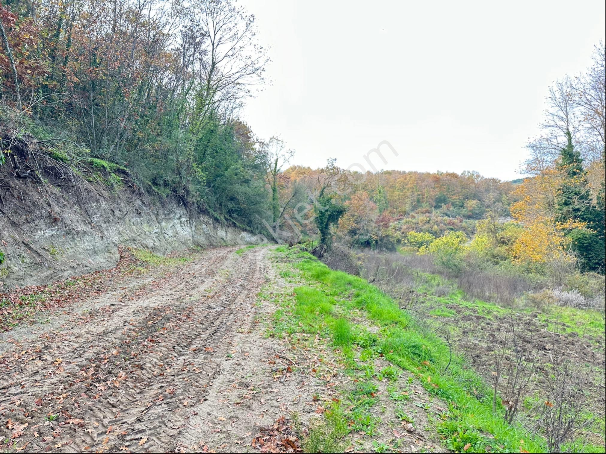 Tırpan Gayrimenkulden Kaymakobada Yola Cephe 4 Hisseli Muhafakatnameli Tarla - Görsel 3