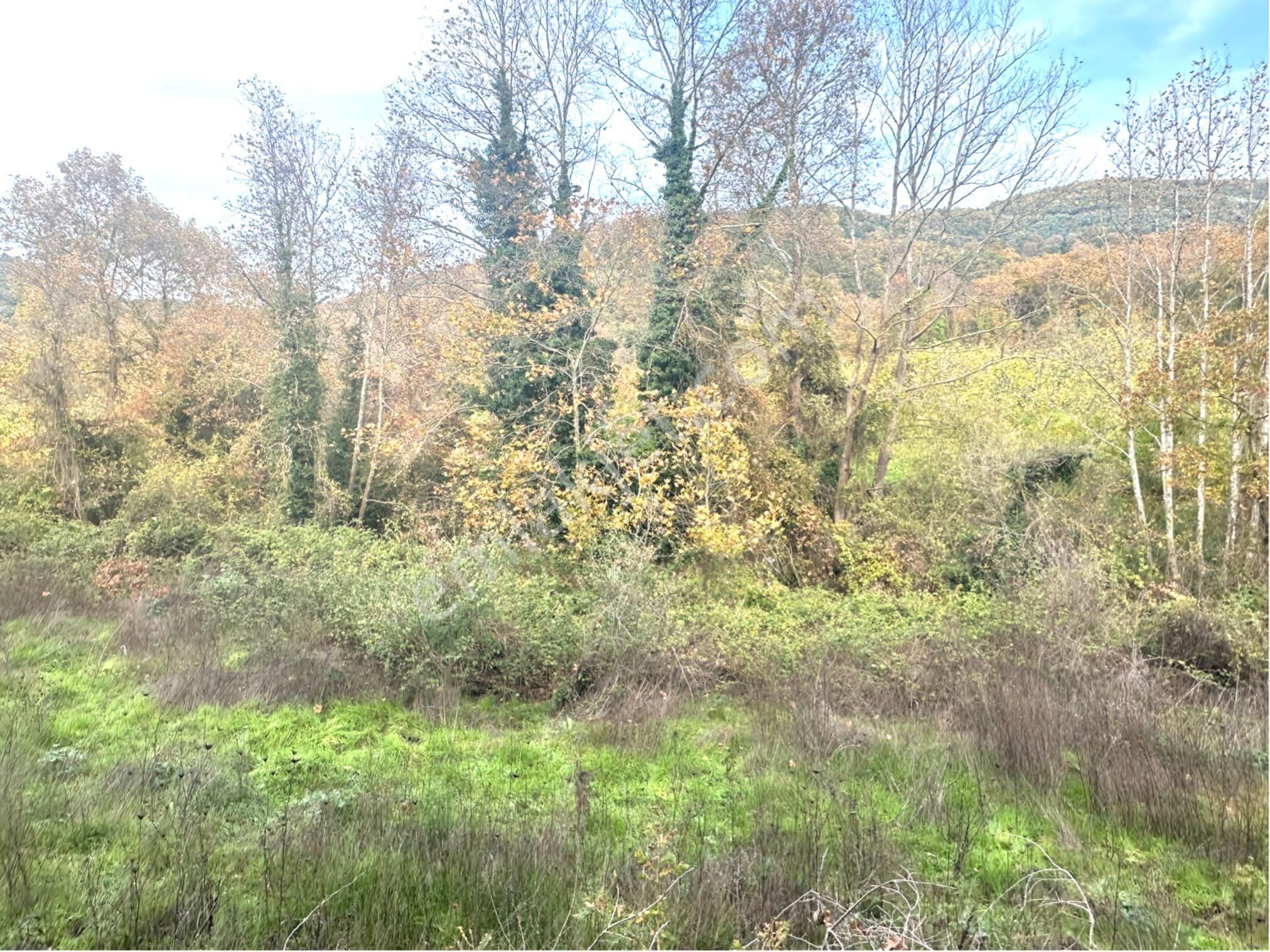 Tırpan Gayrimenkulden Kaymakobada Yola Cephe 4 Hisseli Muhafakatnameli Tarla - Görsel 12