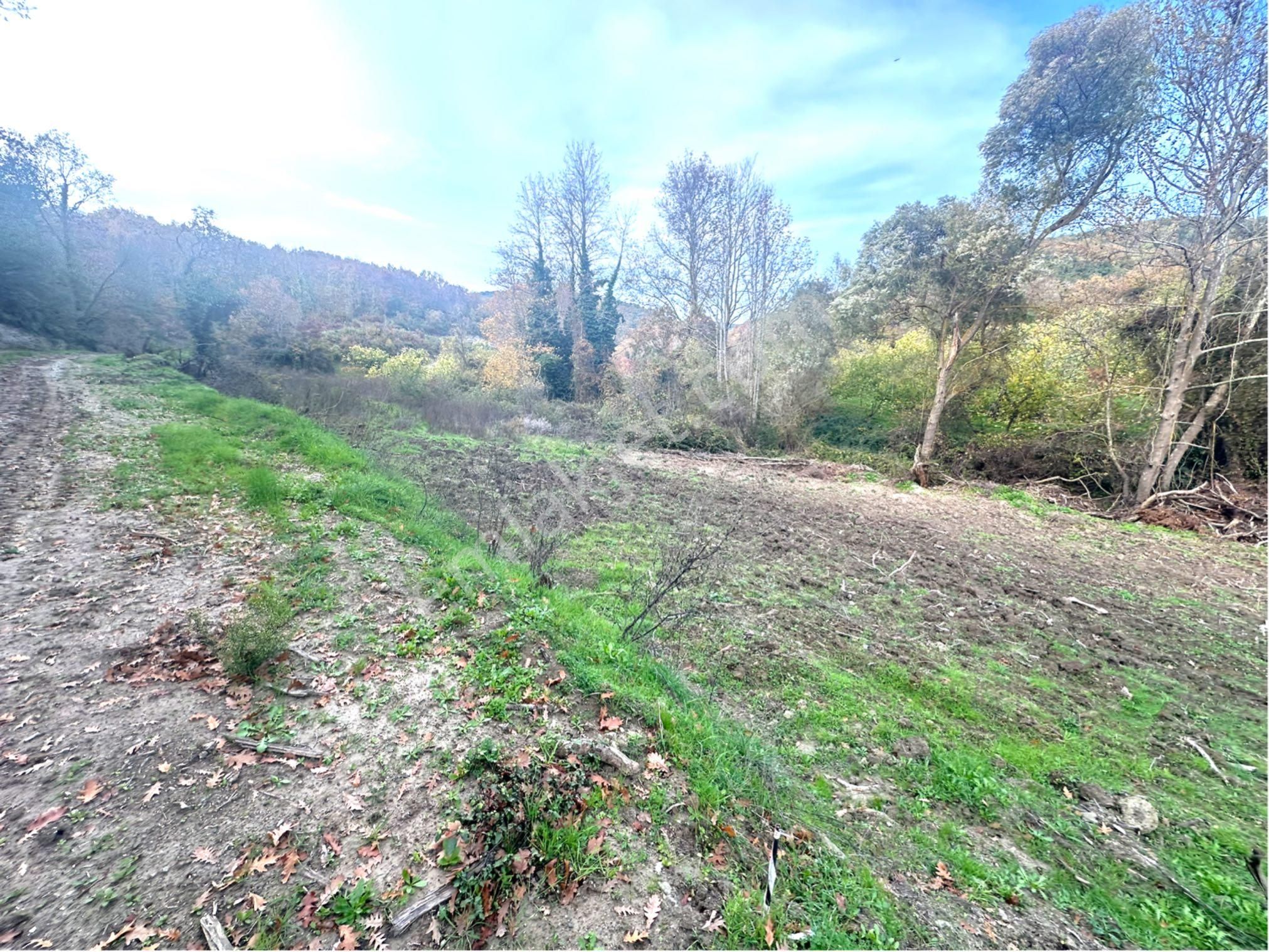 Tırpan Gayrimenkulden Kaymakobada Yola Cephe 4 Hisseli Muhafakatnameli Tarla - Görsel 4