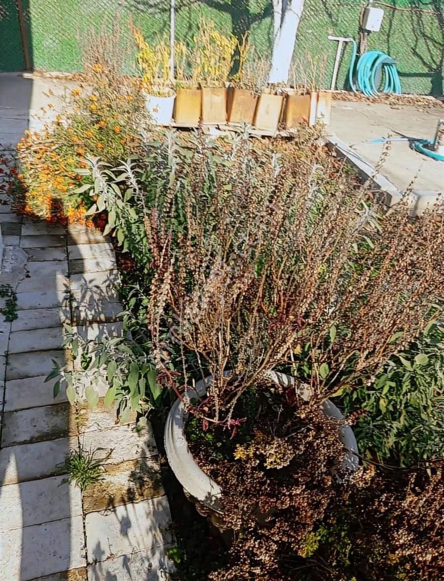 Müstakil 2 Kat İmarlı Villa - Görsel 22