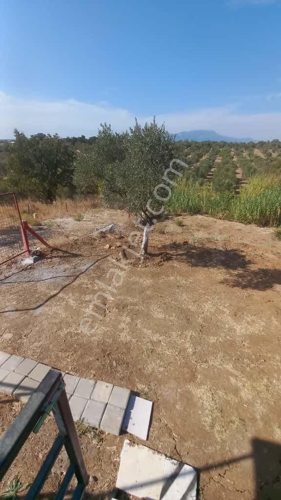 Torbalıda Doğa İle İç İçe Yaşam İçin Acill Satilik - Görsel 5