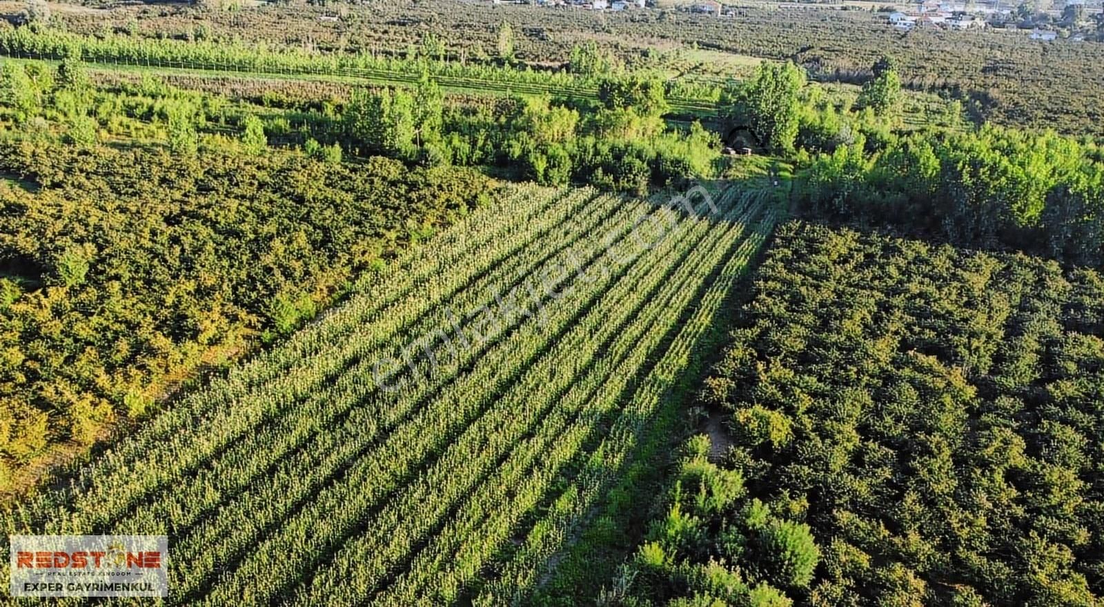 Karasu Kuyumculu'da Müstakil Parsel Denize Yakın Satılık Tarla - Görsel 5