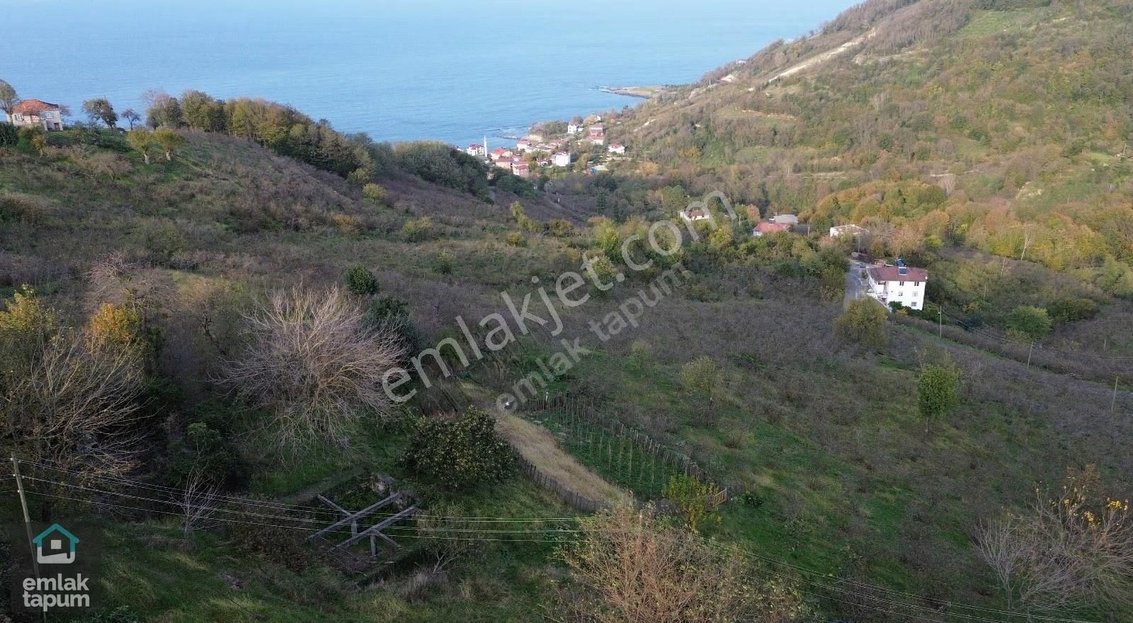Emlak Tapum Perşembe Çaytepe'de Deniz Manzaralı Satılık Bahçe - Görsel 4