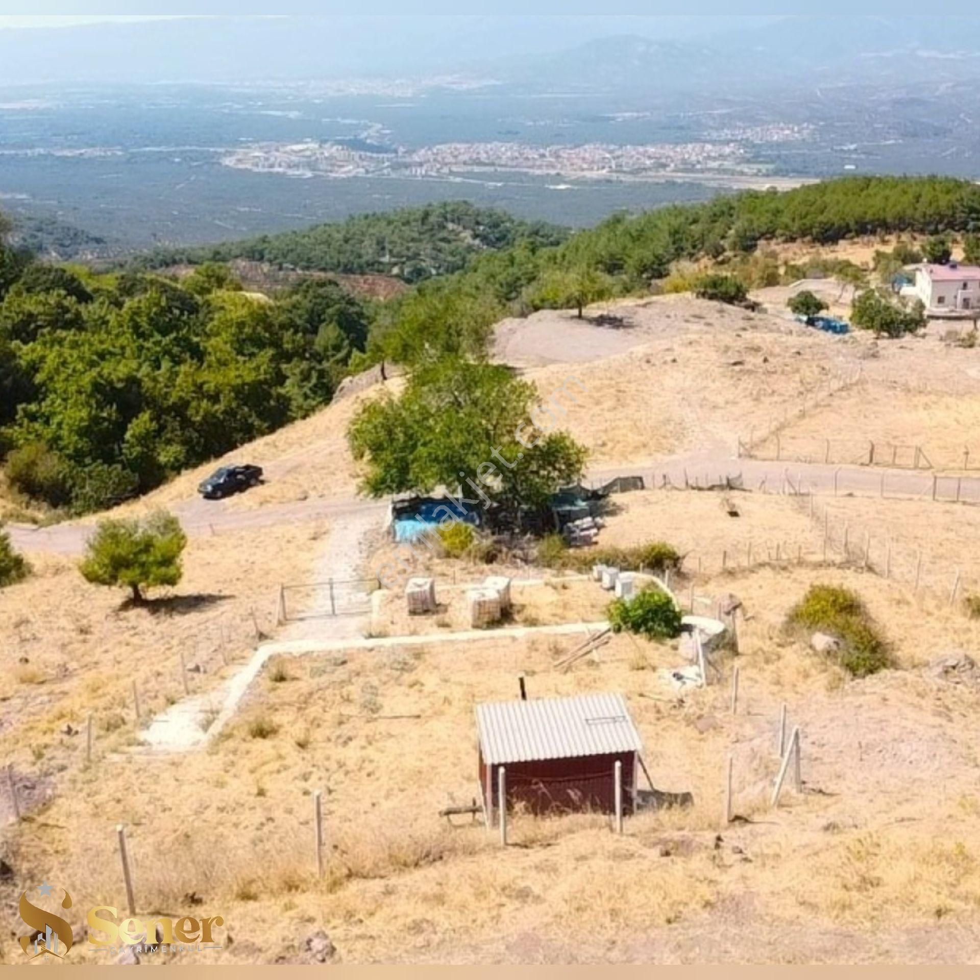 Körfez Ve Doğa Manzarasıyla Keyifle Vakit Geçirebileceğiniz 435 M2 Bahçe - Görsel 2