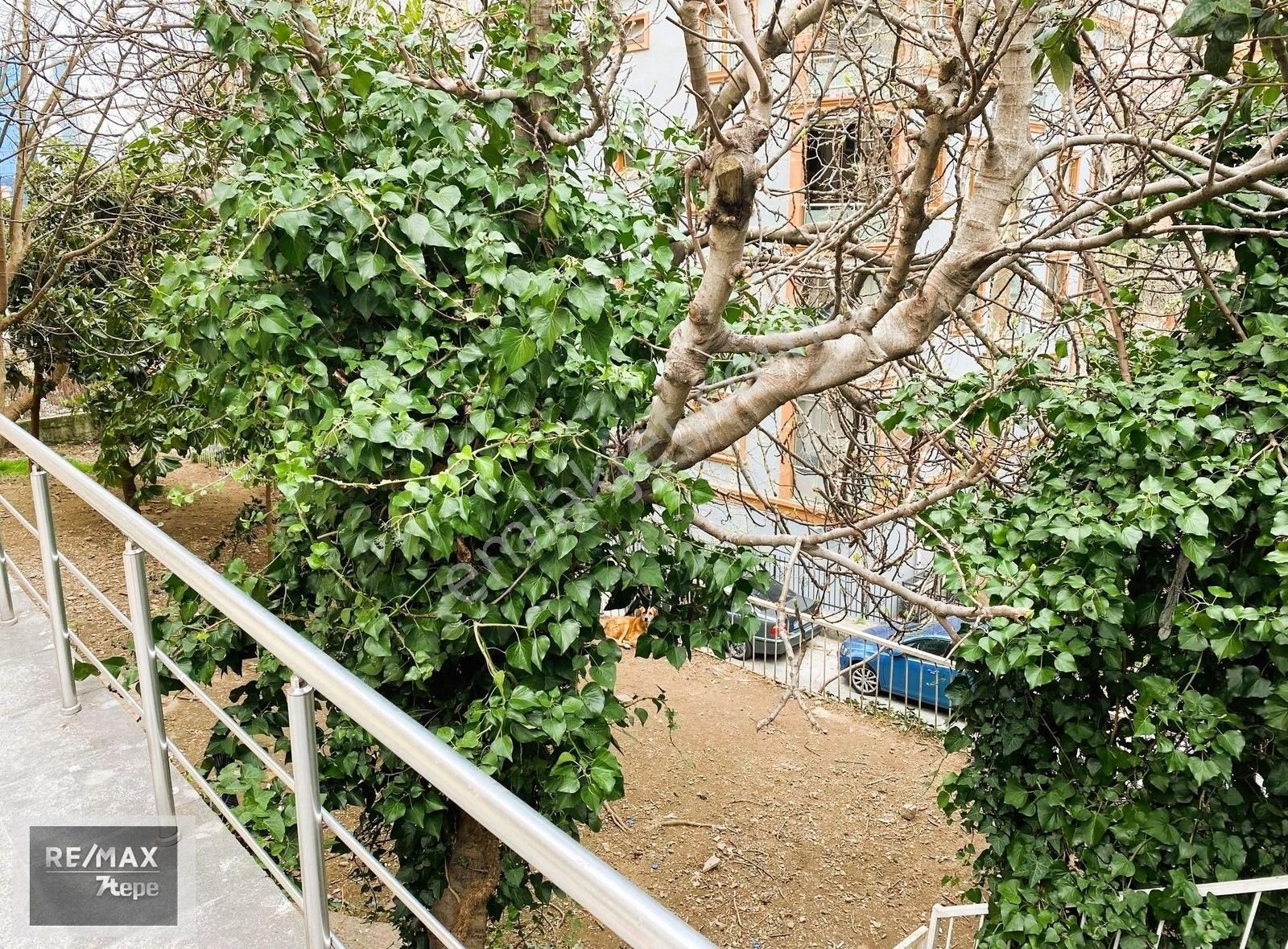 Gayrettepe Polat 6da, Bakımlı Temiz, 3+1 Kiralık Daire. - Görsel 21